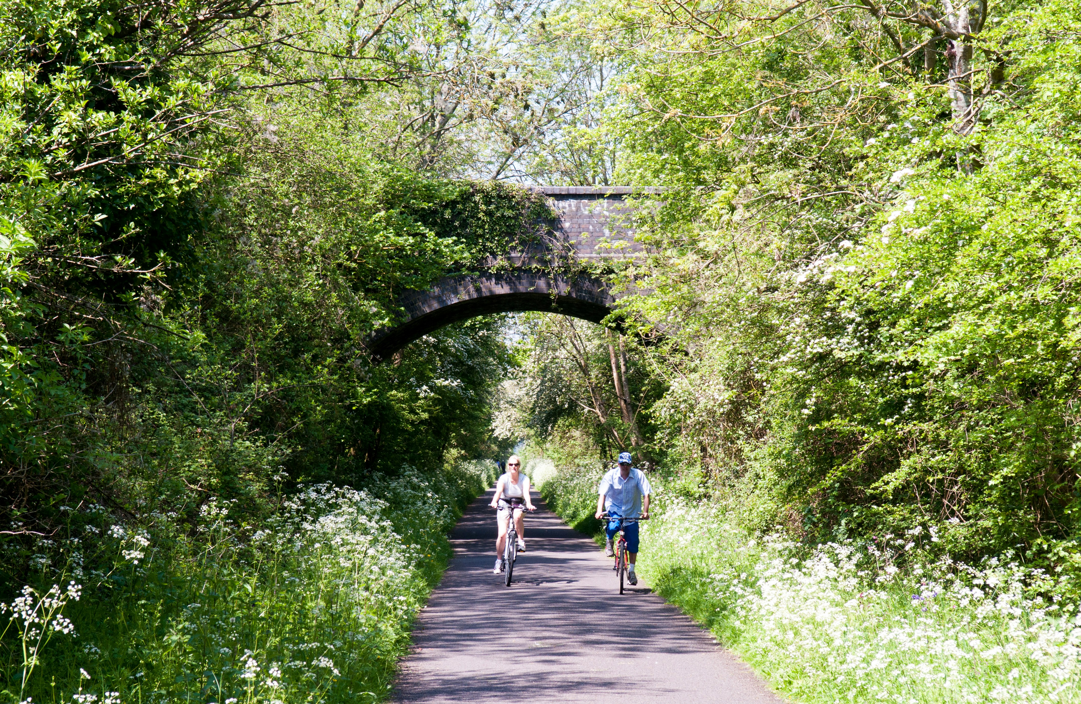Two cyclists on the Bristol and Bath Railway Path, among wildflowers and a stone arch bridge