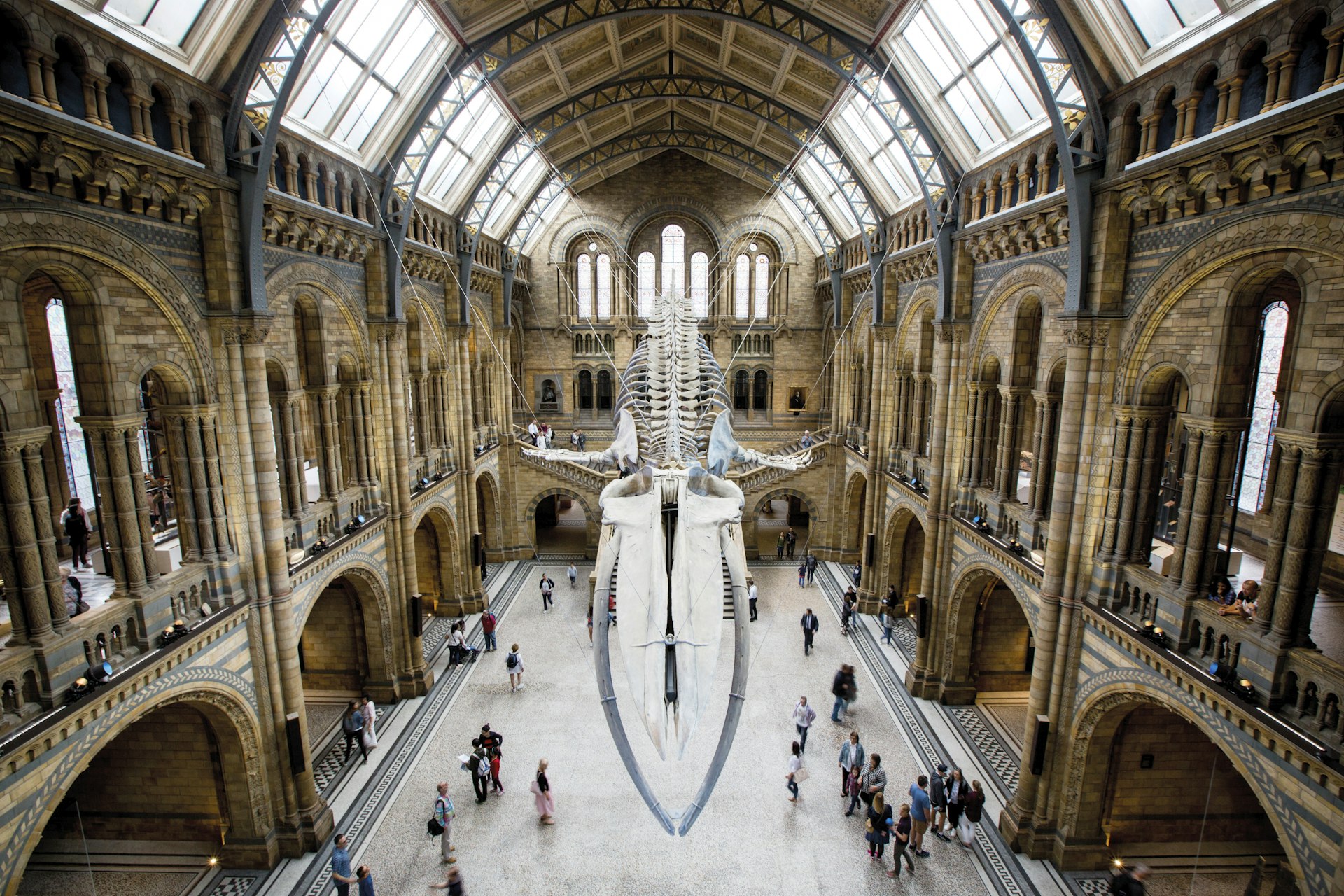 A shot down into the main hall of a huge museum. From the ceiling hangs a blue whale skeleton