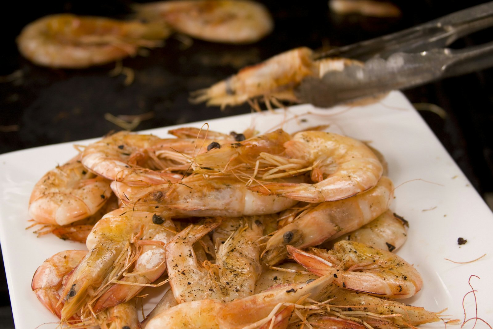 Closeup of a metal tong holding a grilled prawn above a stack of grilled prawns on a white plate.