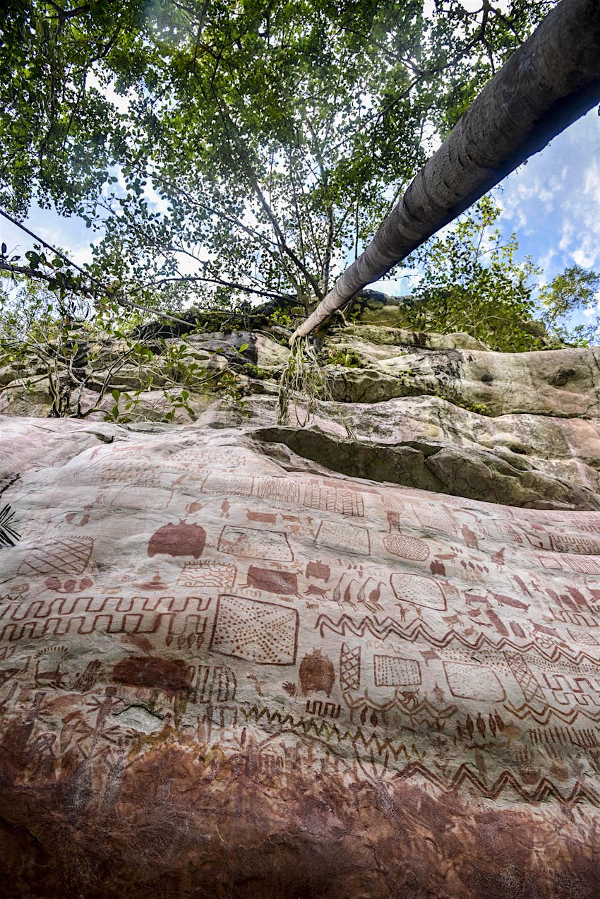 Serrania La Lindosa'daki Cerro Azul tepesindeki kaya sanatının görünümü