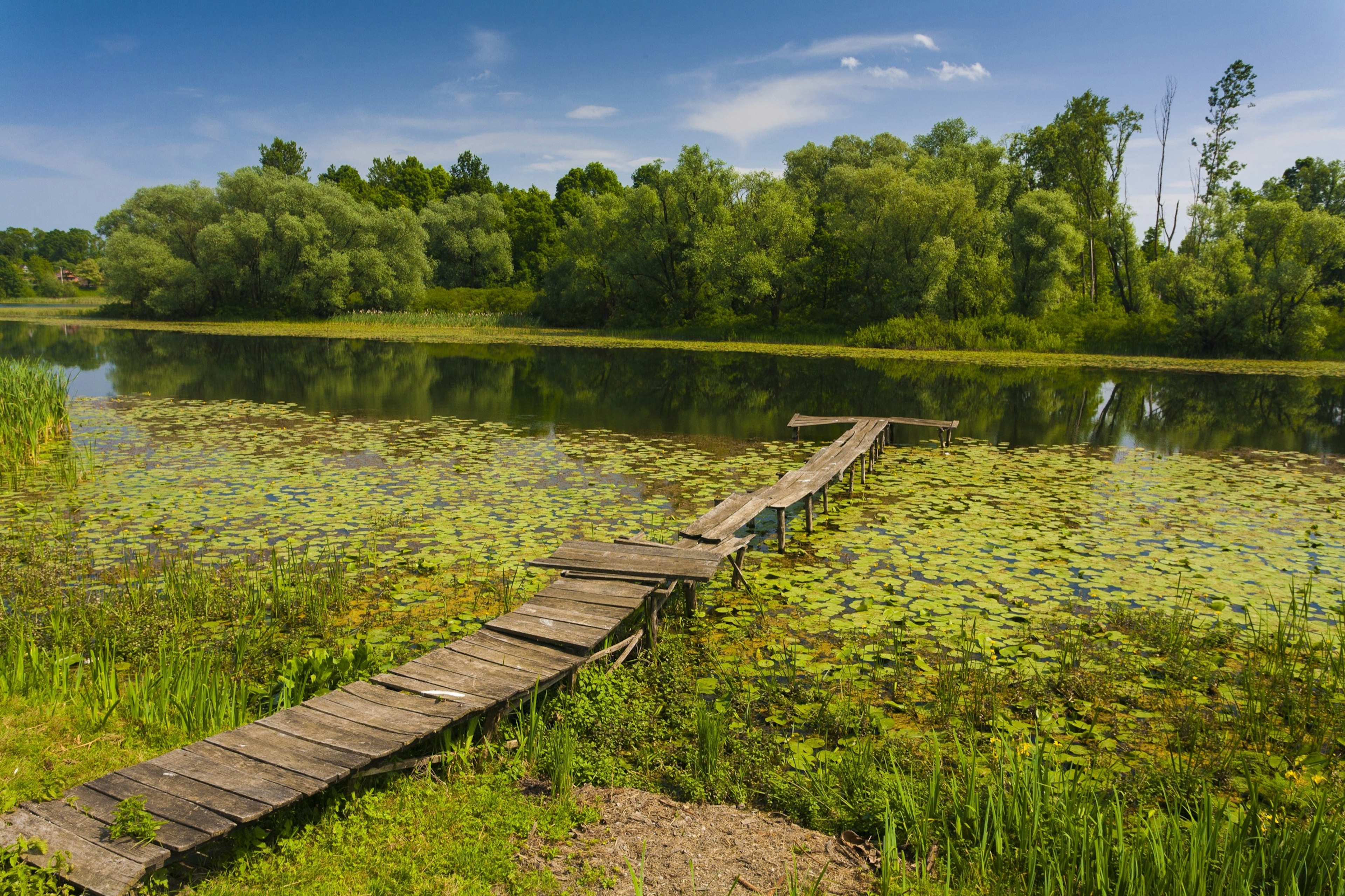 Croatia-Outdoors-Lonjsko-Polje.jpg