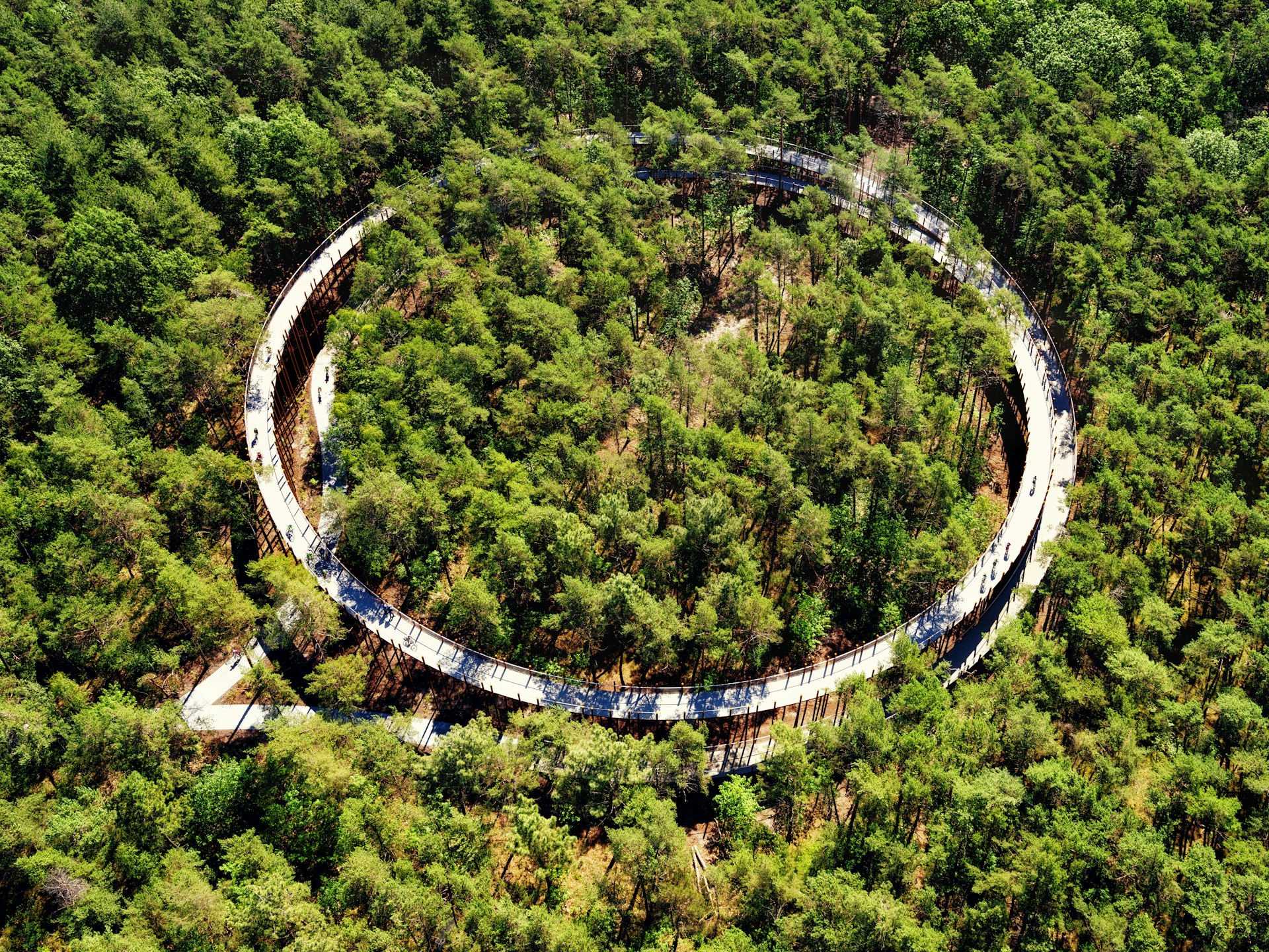 Aerial view of a raised circular bike trail in a forest