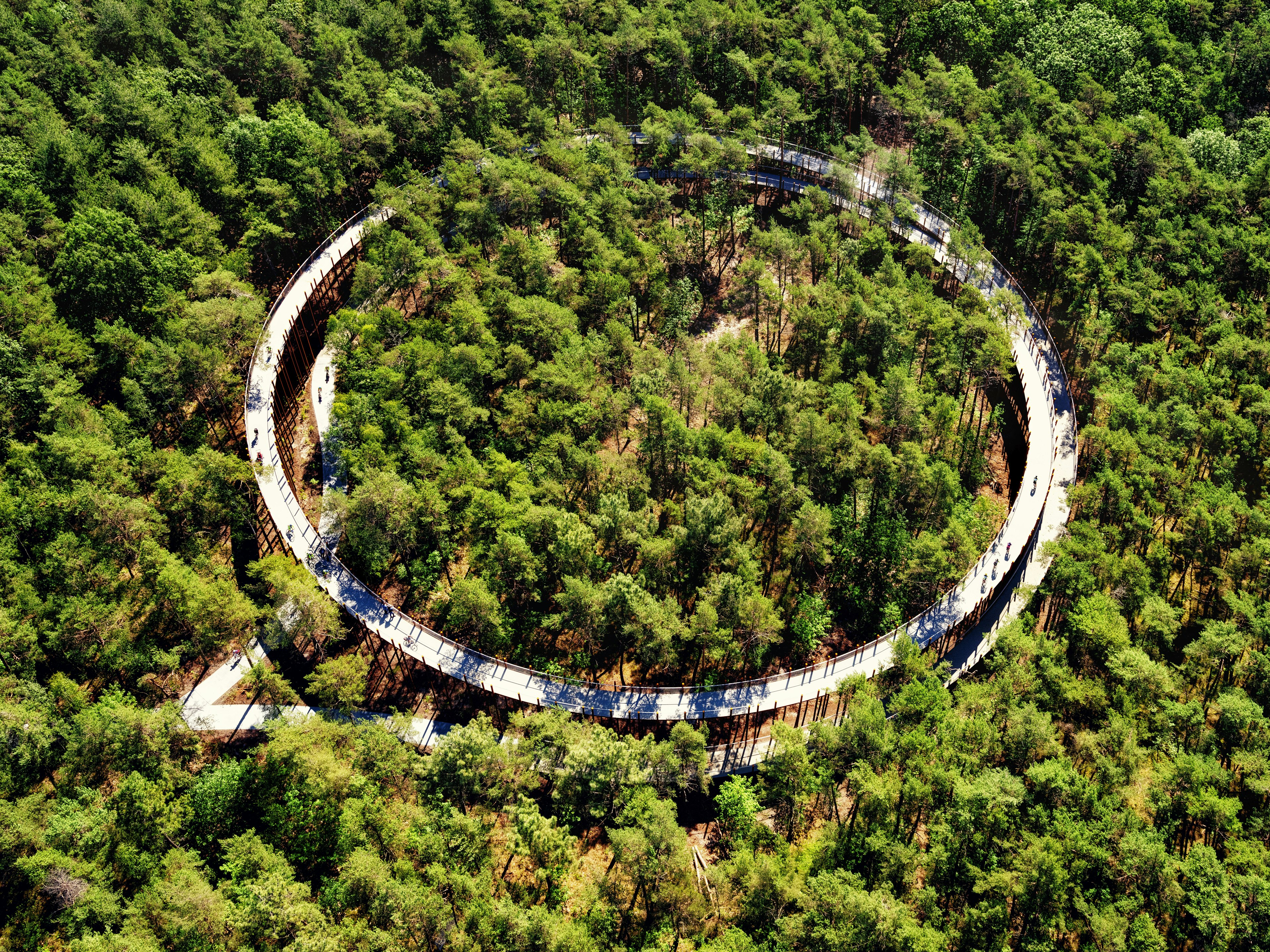 Aerial view of a raised circular bike trail in a forest