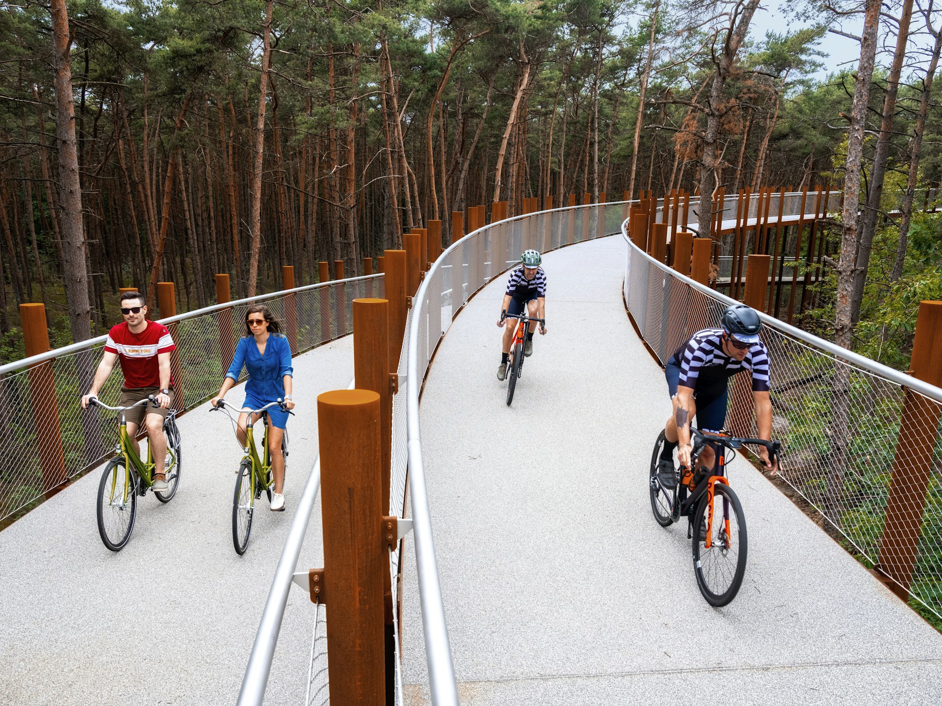 Cyclists ride through a circular forest cycling trail