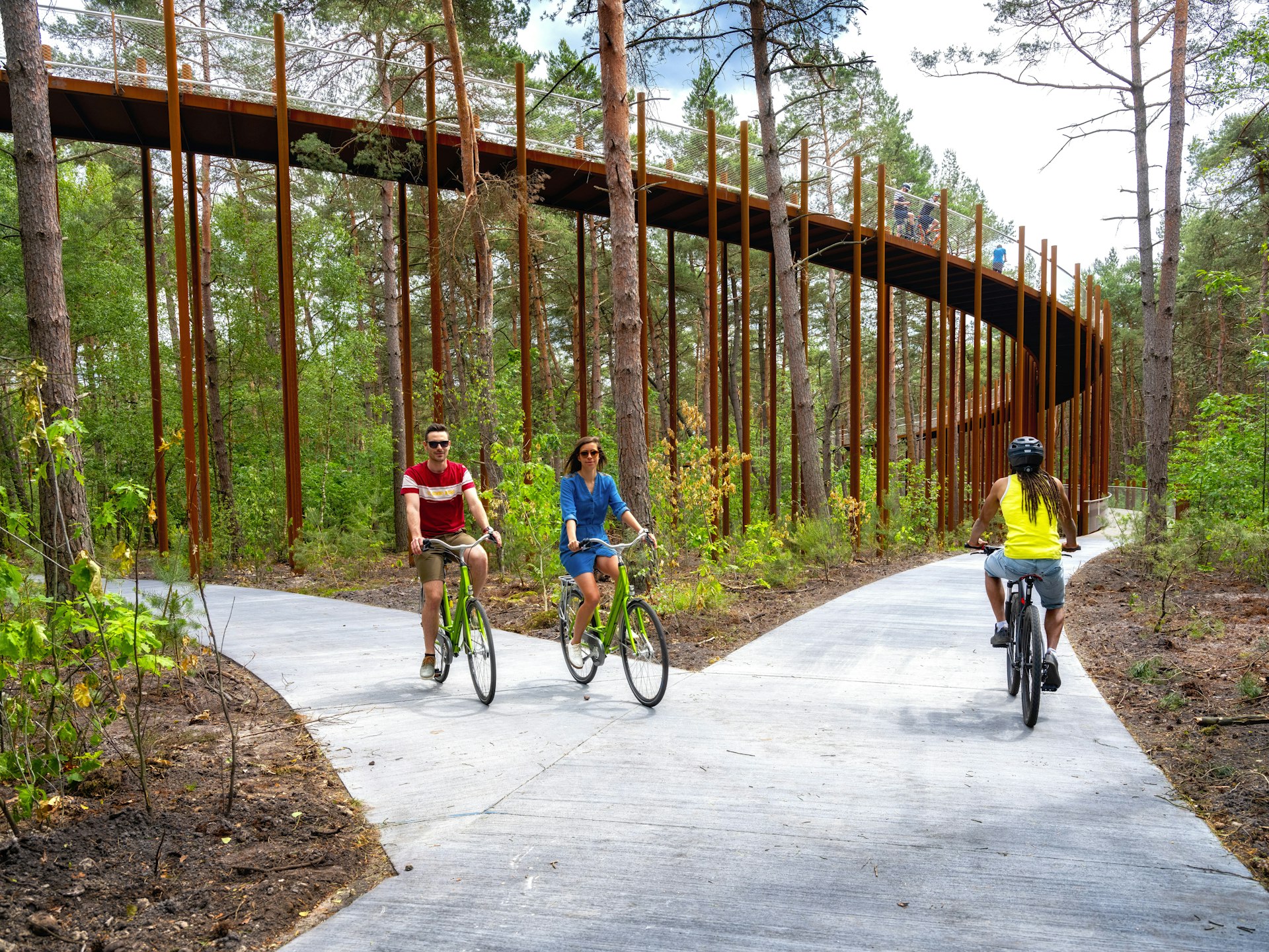 A two-lane cycle trail running through a canopy of trees
