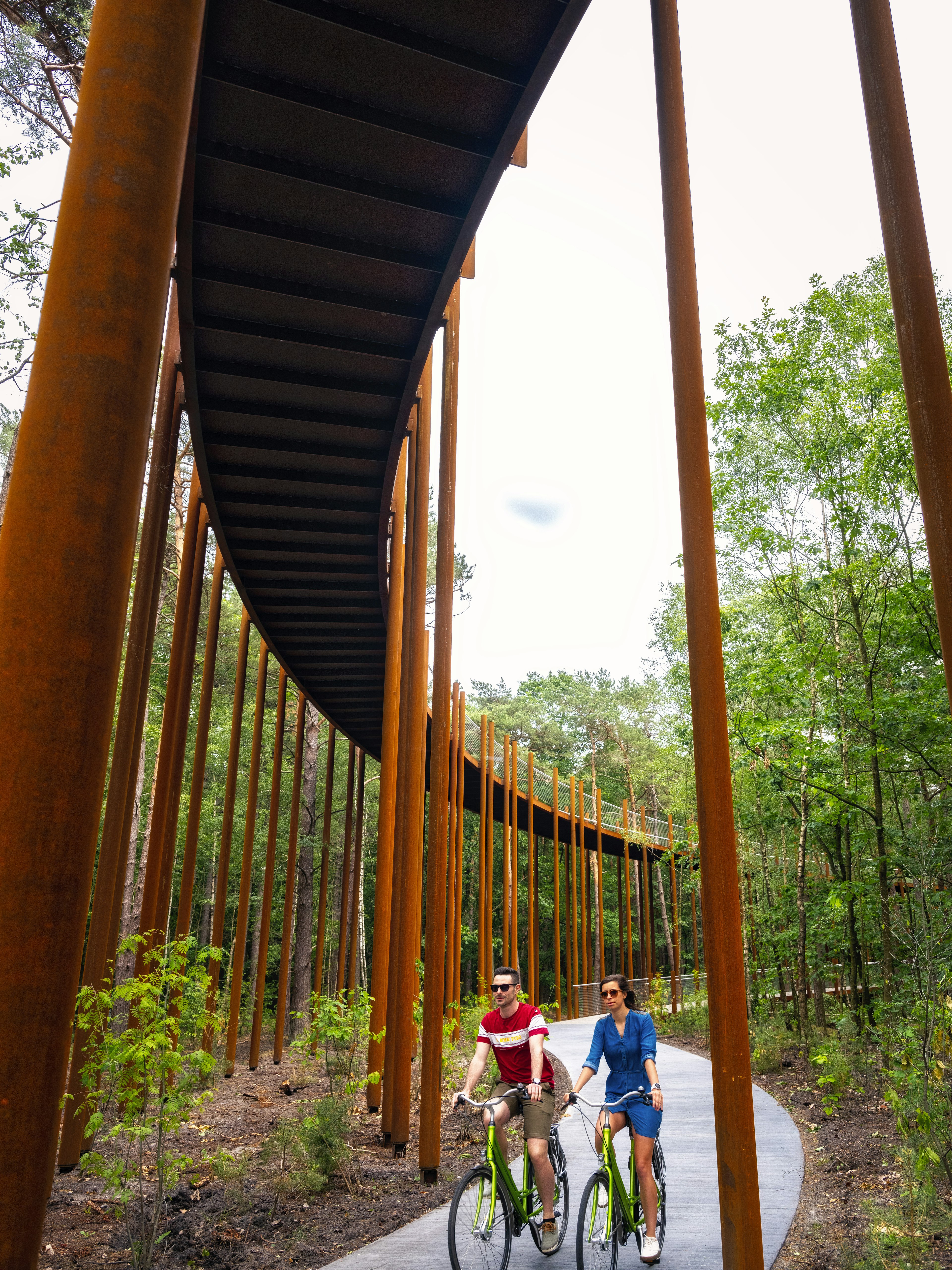 Bottom view of the cycling through the trees trail