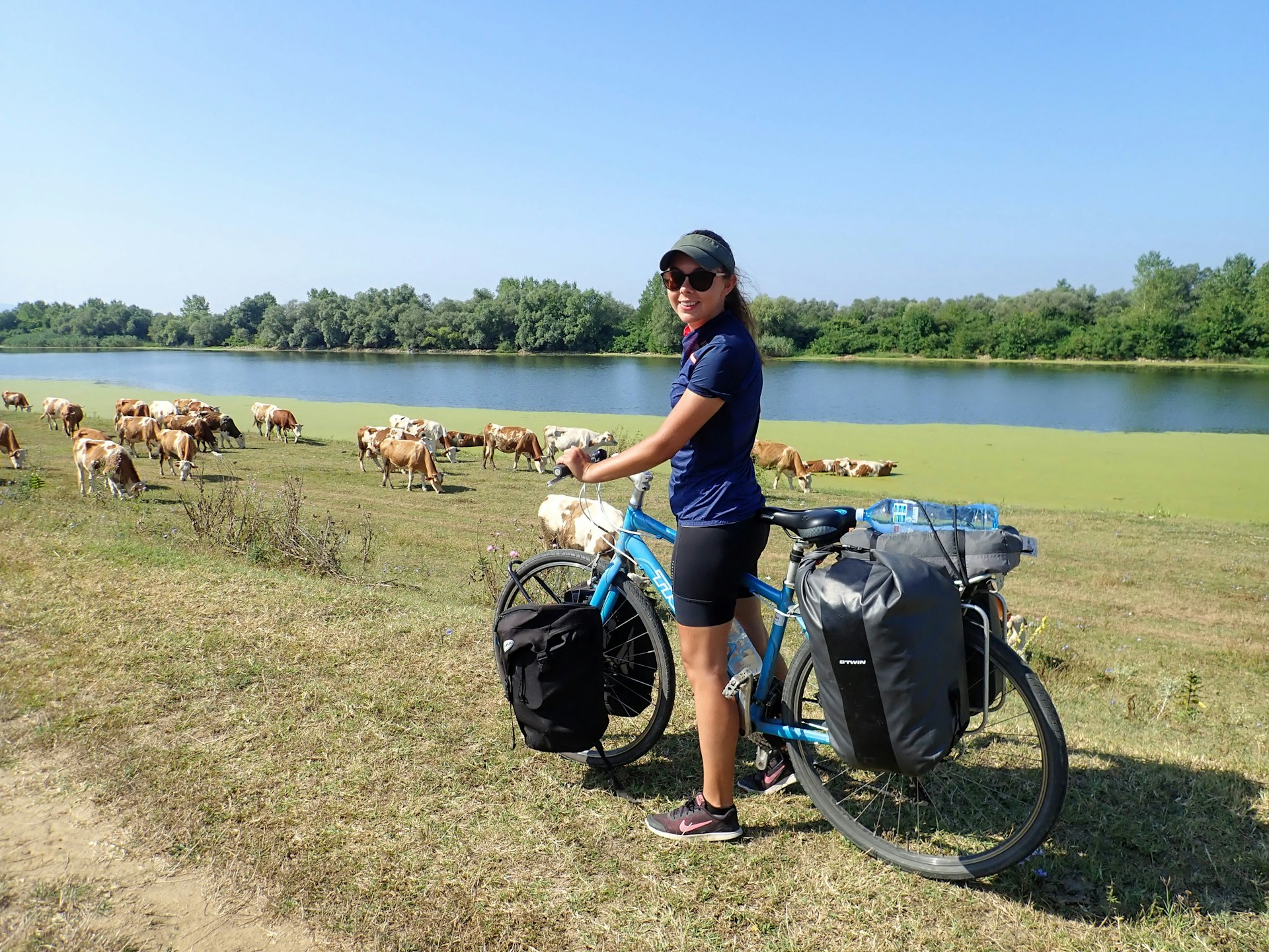 A woman with her bike pauses by a field of cows near a river