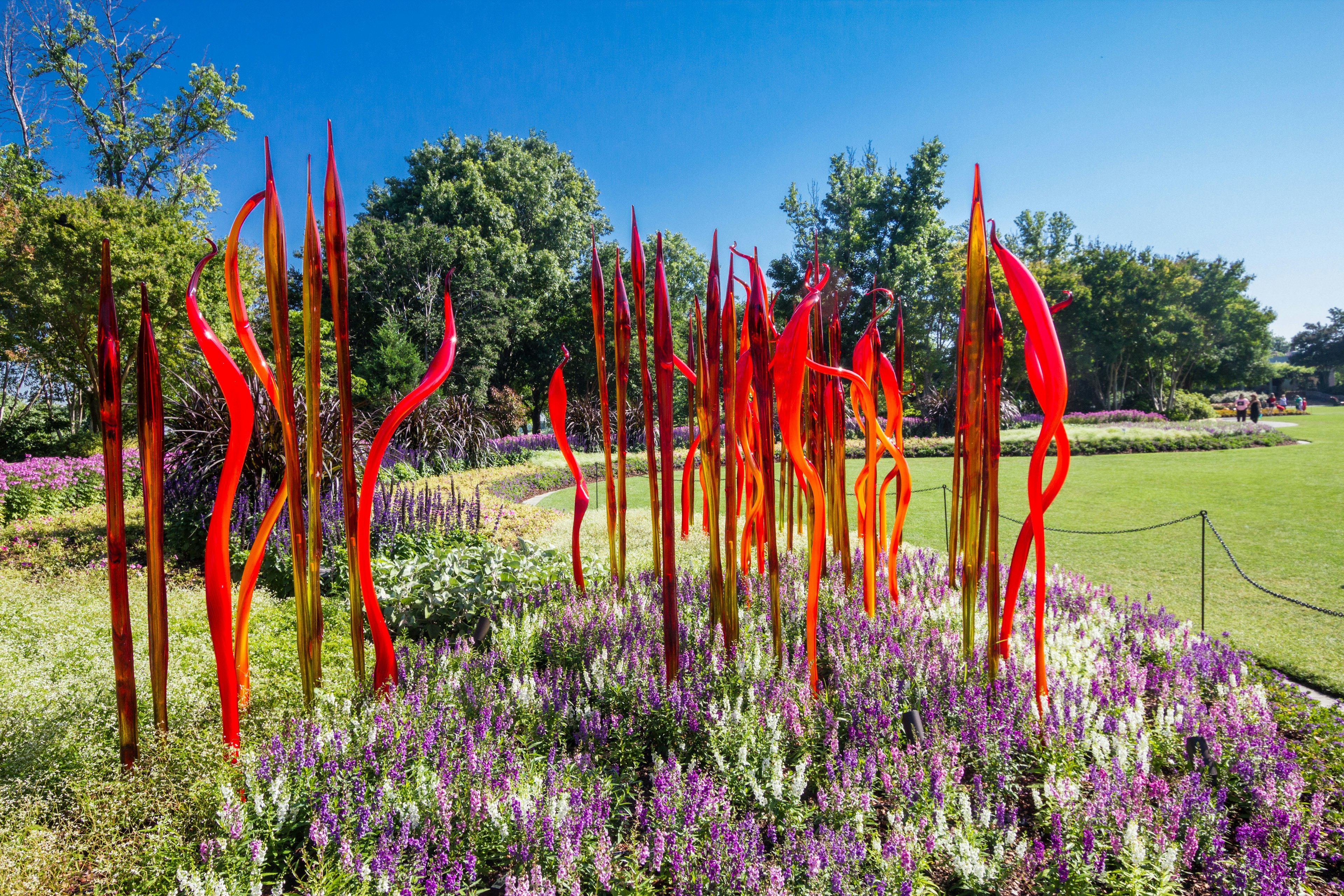 Dale Chihuly at the Dallas Arboretum, Dallas, USA,