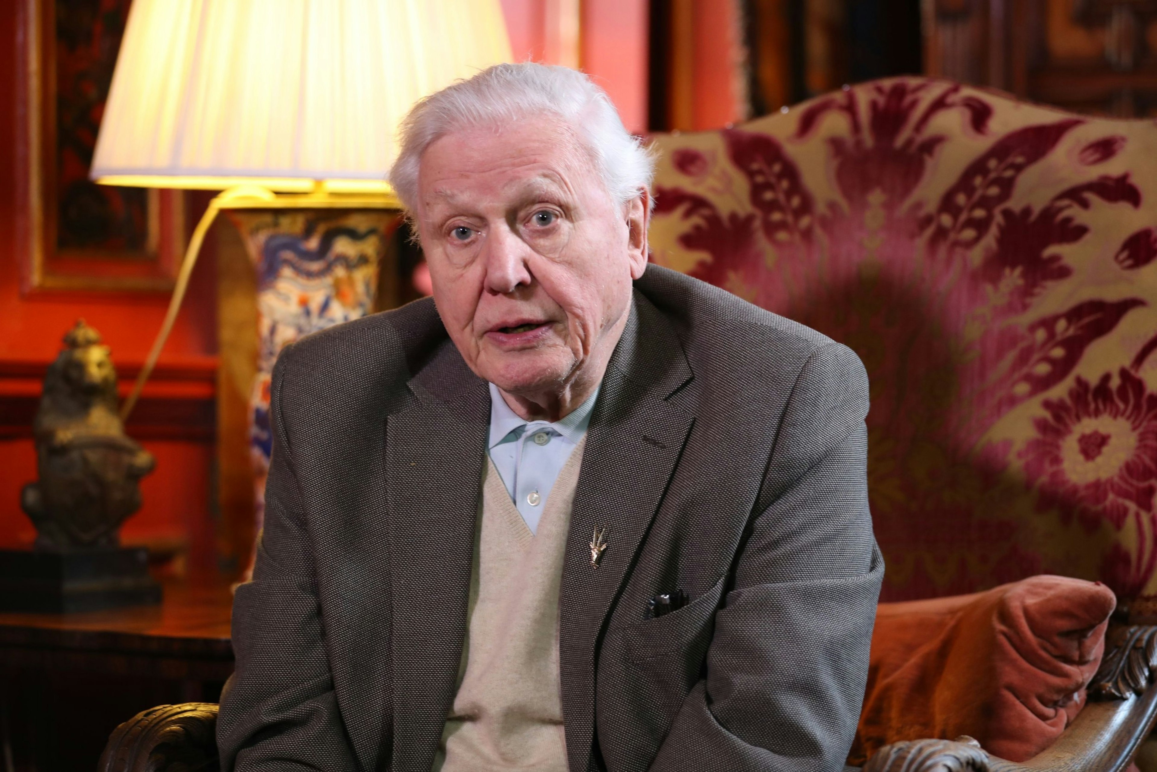 Planet Earth will team David Attenborough with composer and rapper Dave - Lonely Planet