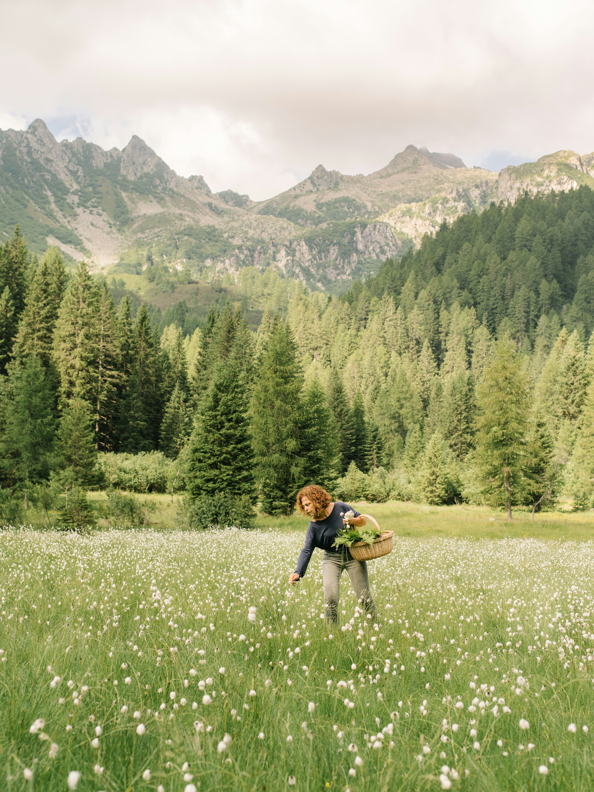 A woman forages for herbs in a mountain meadow