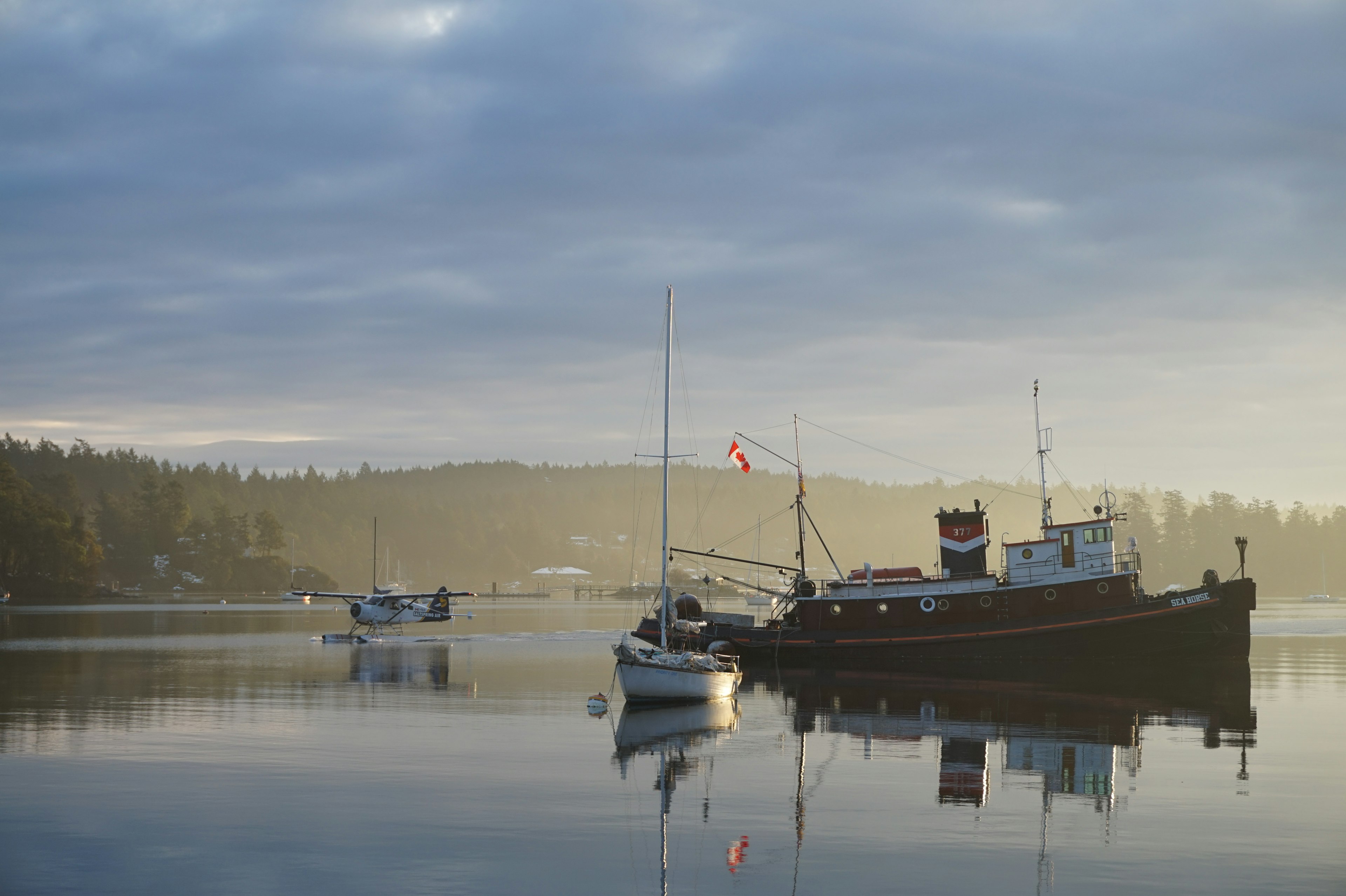 Early morning, Salt Spring Island.JPG