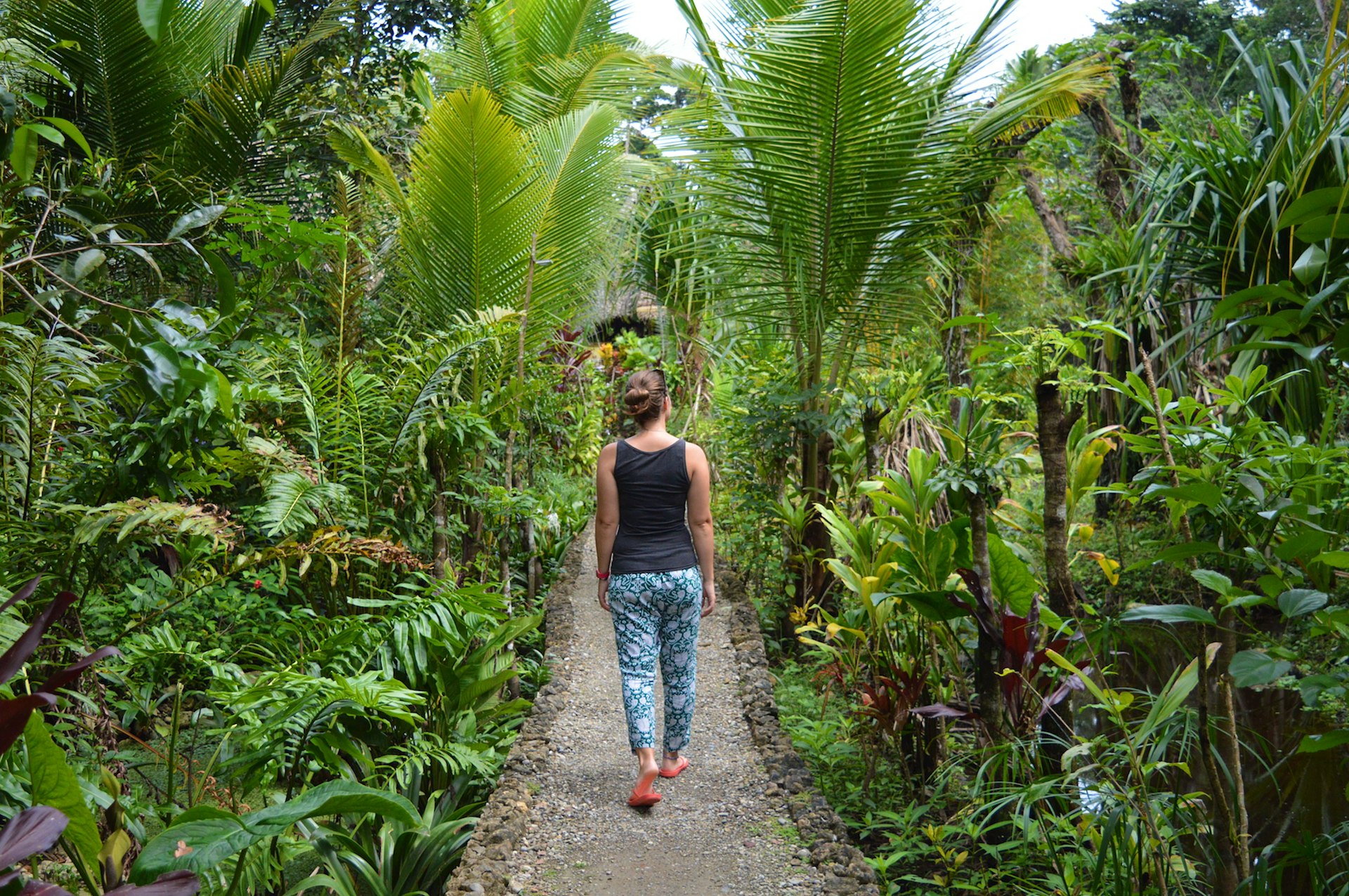 A woman walking on a path surrounded by tropical greenery, seen from behind