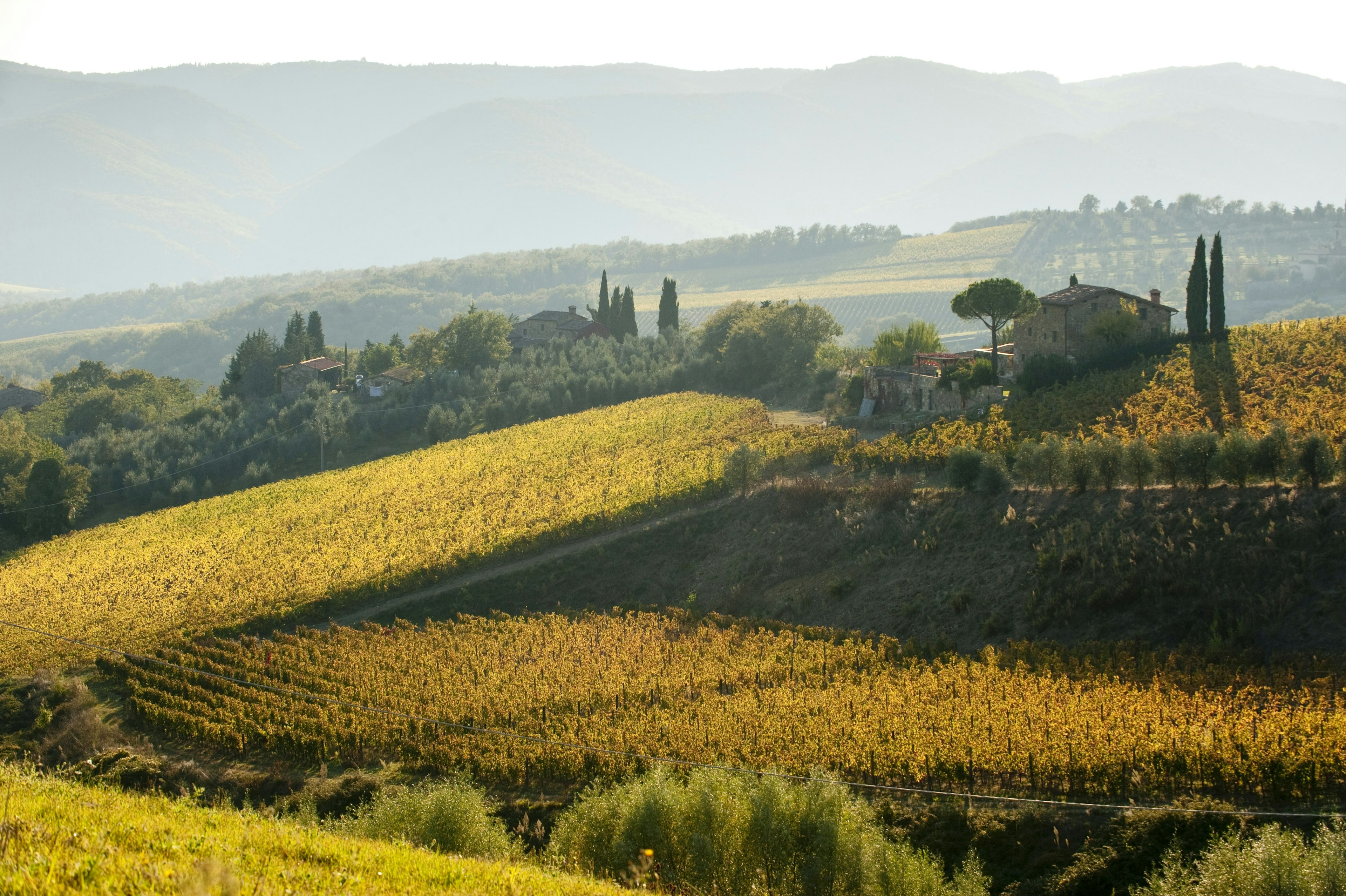 hills in Chianti