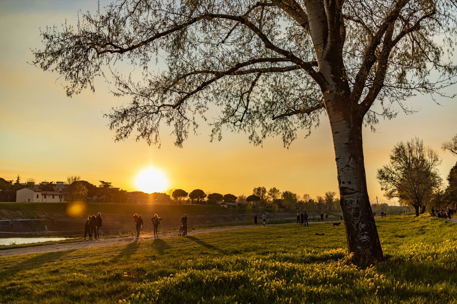 The sun shines across the grass and trees in Parco delle Cascine in Florence