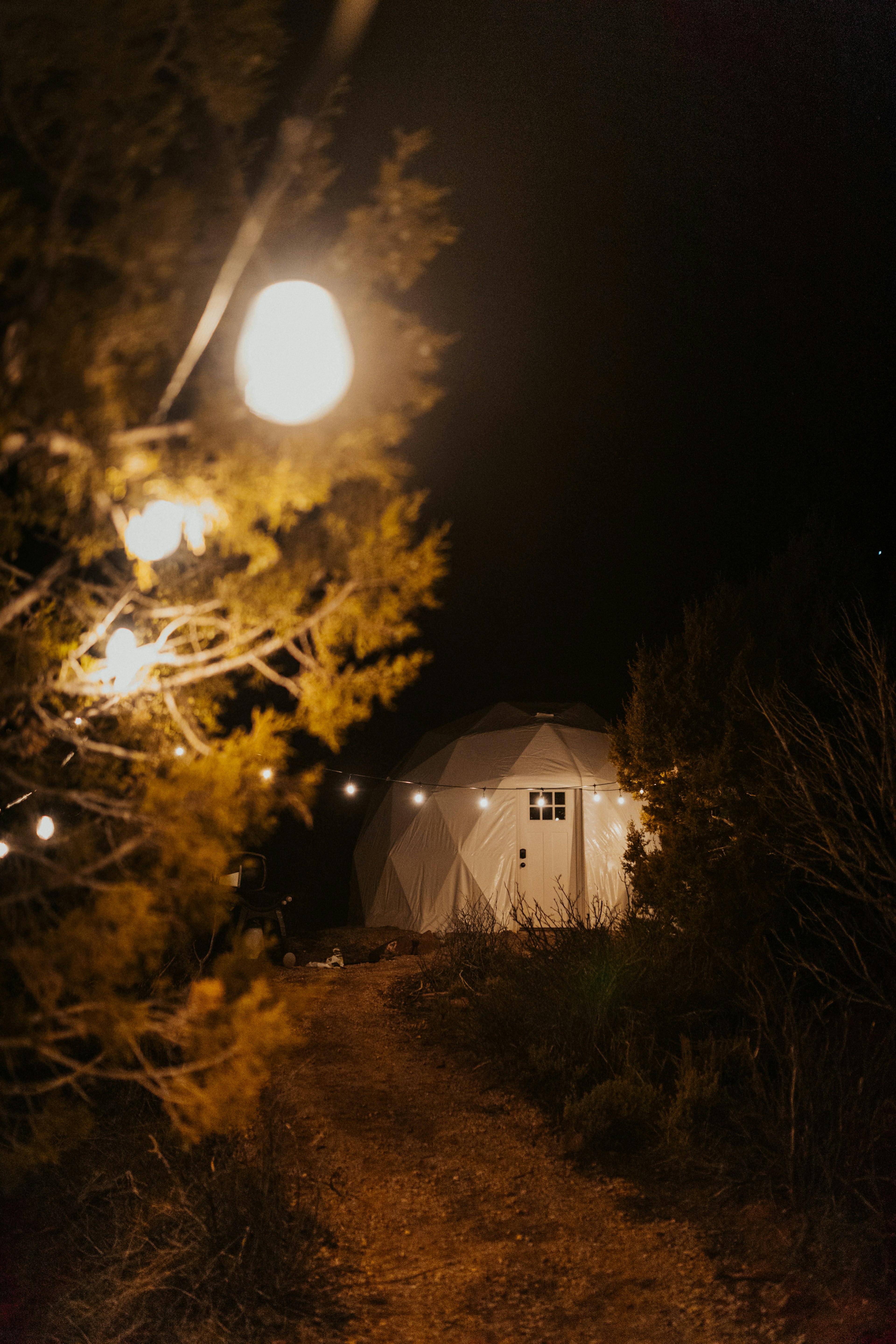 Geodesic Domes