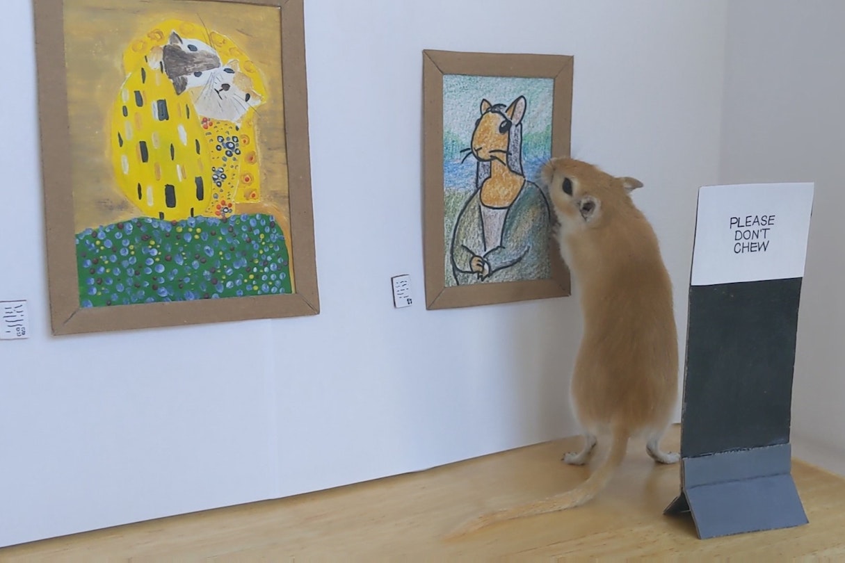 An Italian couple created an art gallery for their gerbils