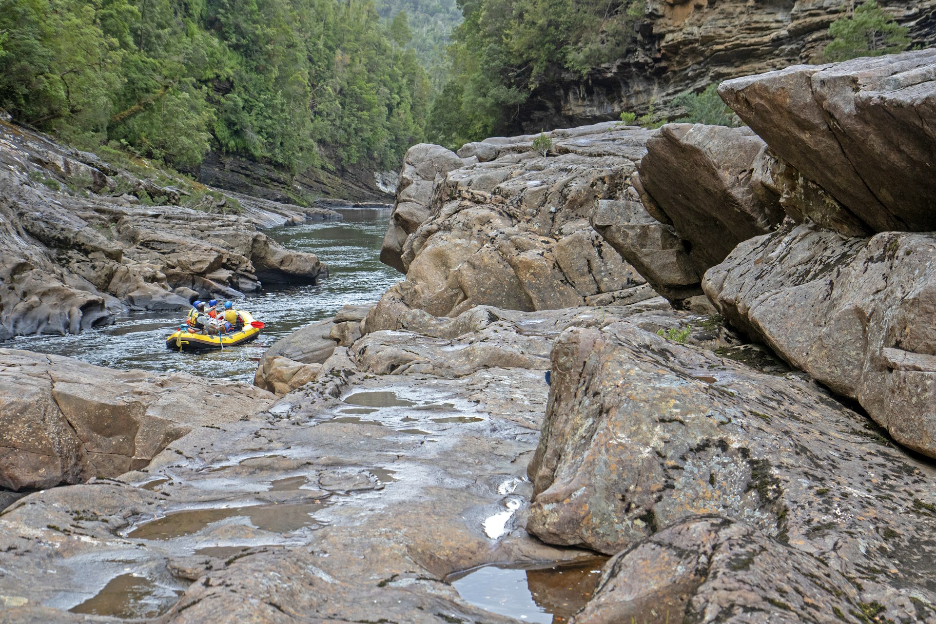 Raft at Newland Cascades on the Franklin River