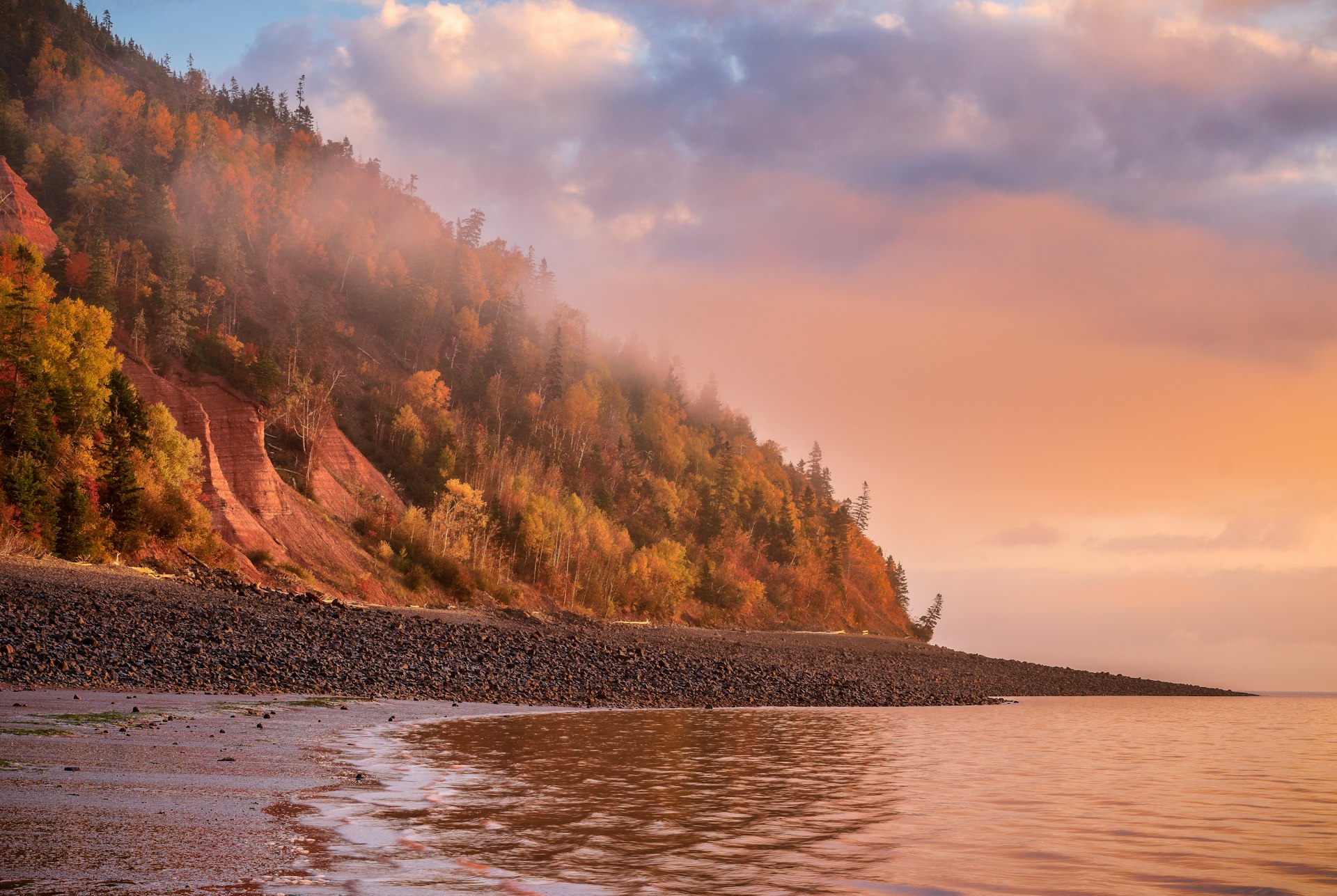 Mist rising off the water with a pink sky, purple clouds, and colorful foliage at Cape Blomidon in the Bay of Fundy's Blomidon Provincial Park