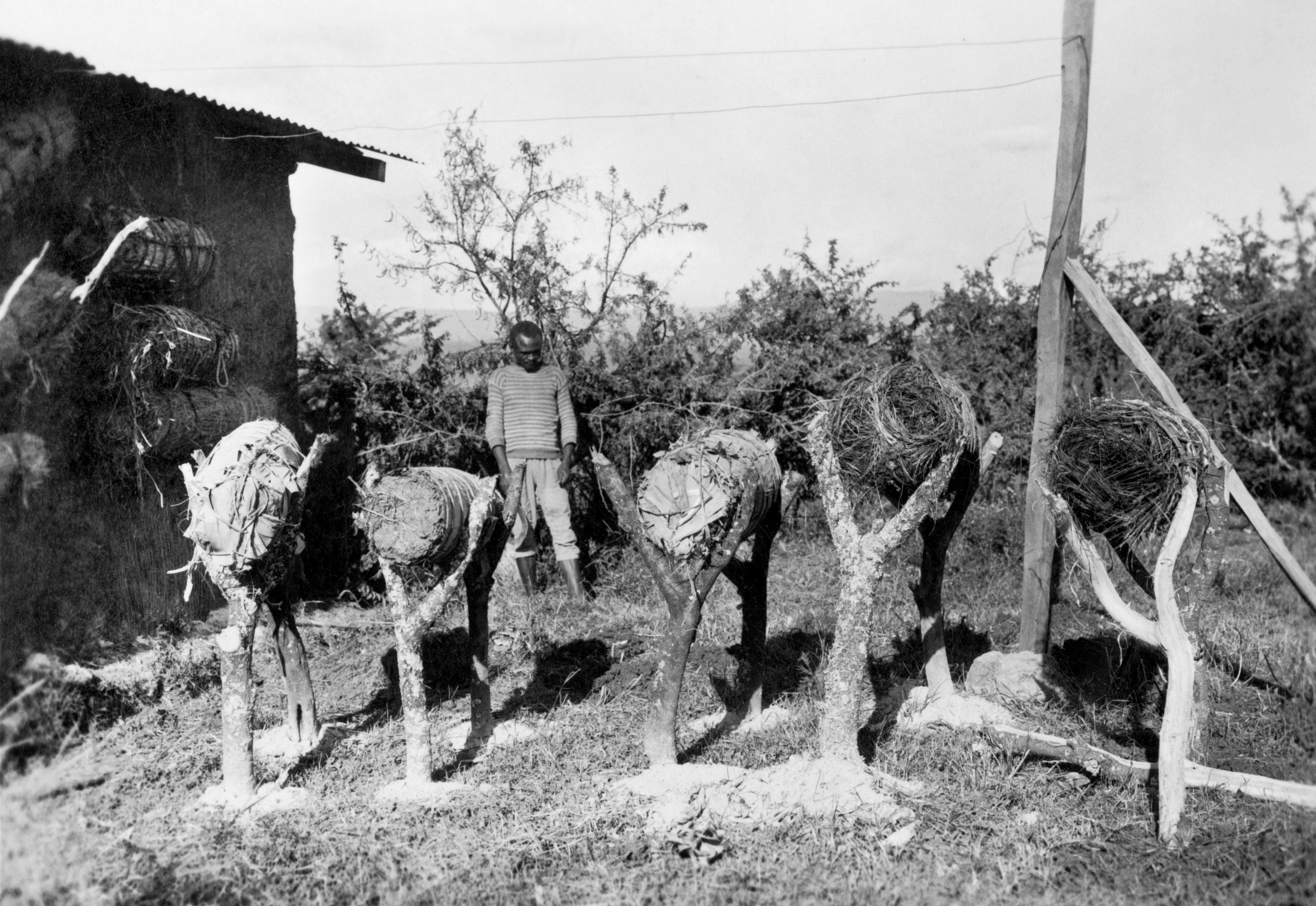 Africa, ethiopia, hives, 1920-30