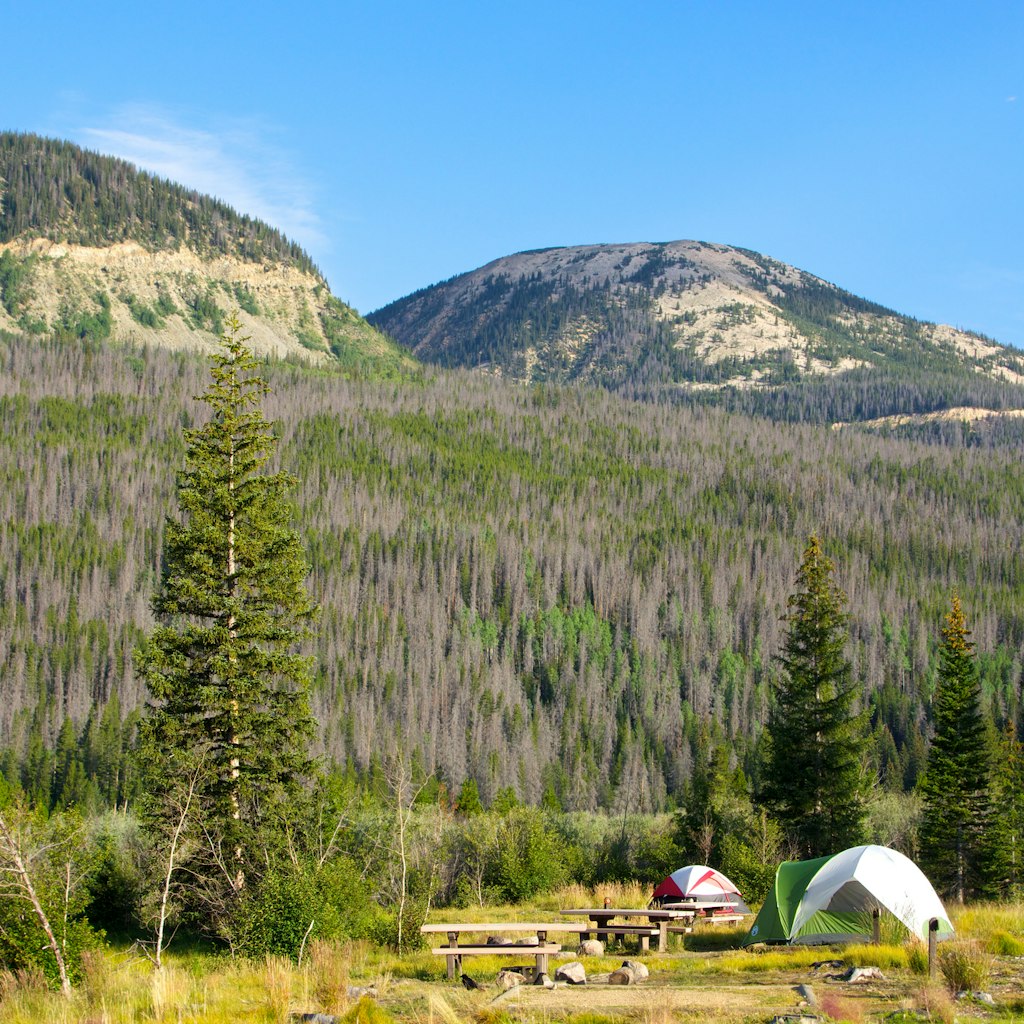 A beautiful camping spot at Timber Creek campground in Rocky Mountain national park in Colorado. A perfect blue sky, beetle kill all over the mountain sides, and a feeling of peace and quiet you can only achieve camping.