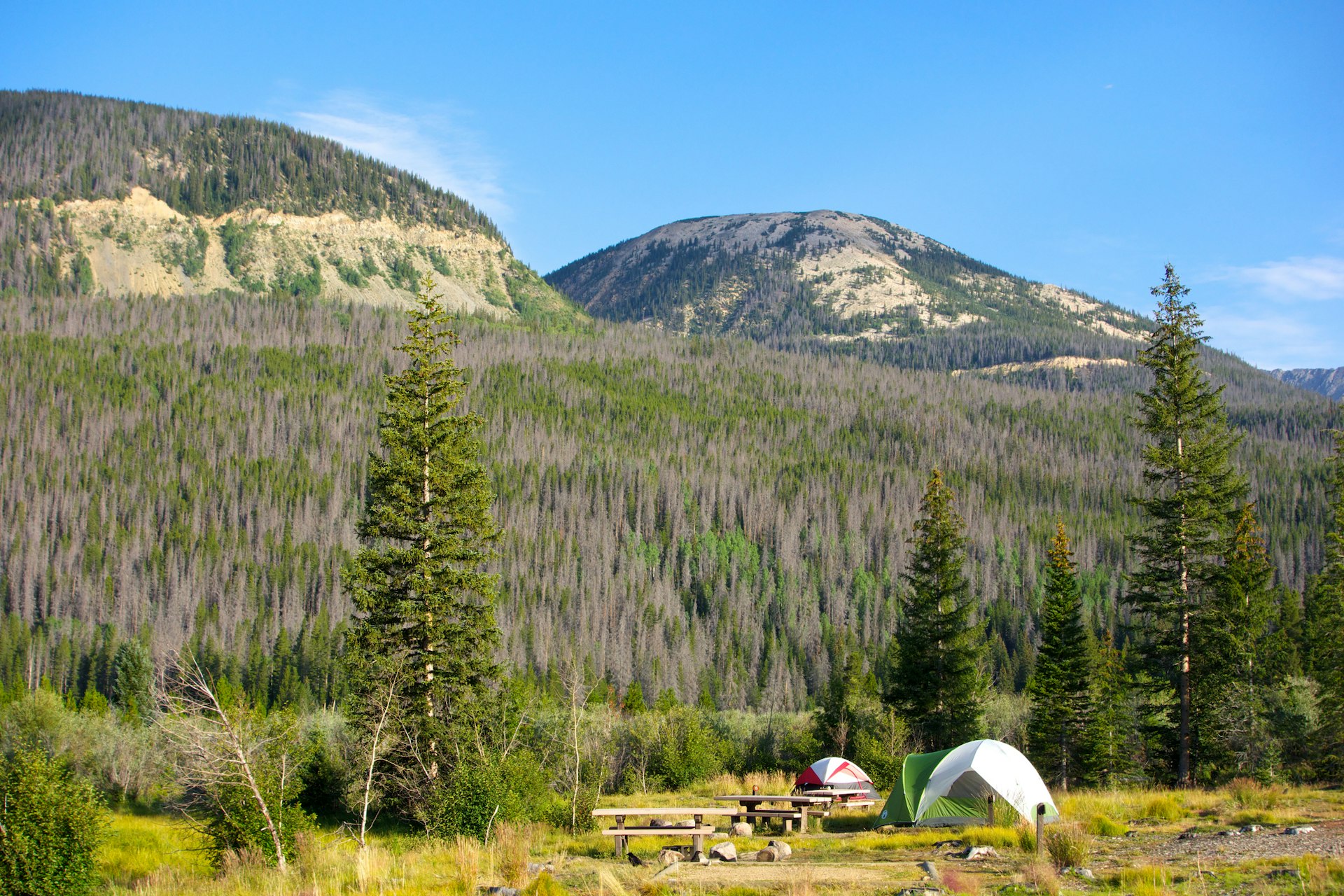Tent at a campground in Colorado backed by mountain ridges