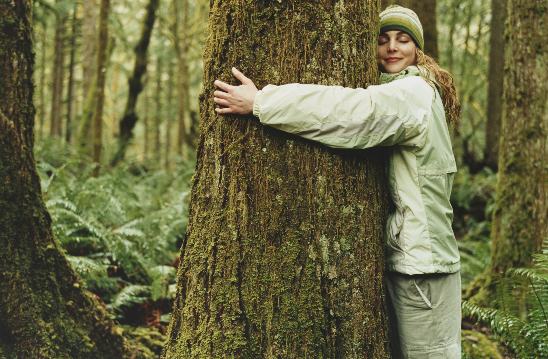 Hug a Tree NYC : NYC Parks