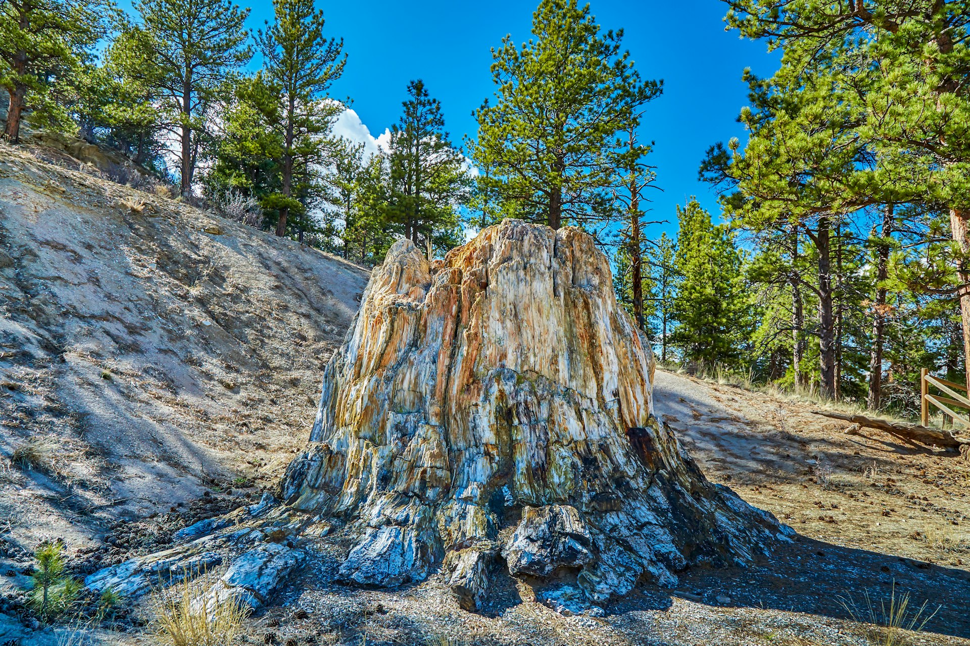 Florissant Fossil Beds National Monument, Colorado, USA