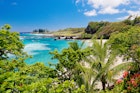 Hawaii, Maui, Tropical Hamoa beach in Hana with palm trees and blue sky.