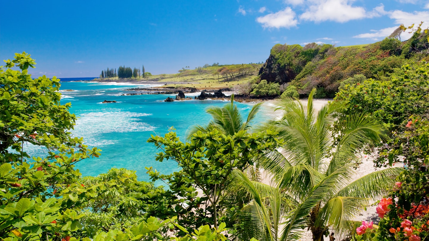 Hawaii, Maui, Tropical Hamoa beach in Hana with palm trees and blue sky.