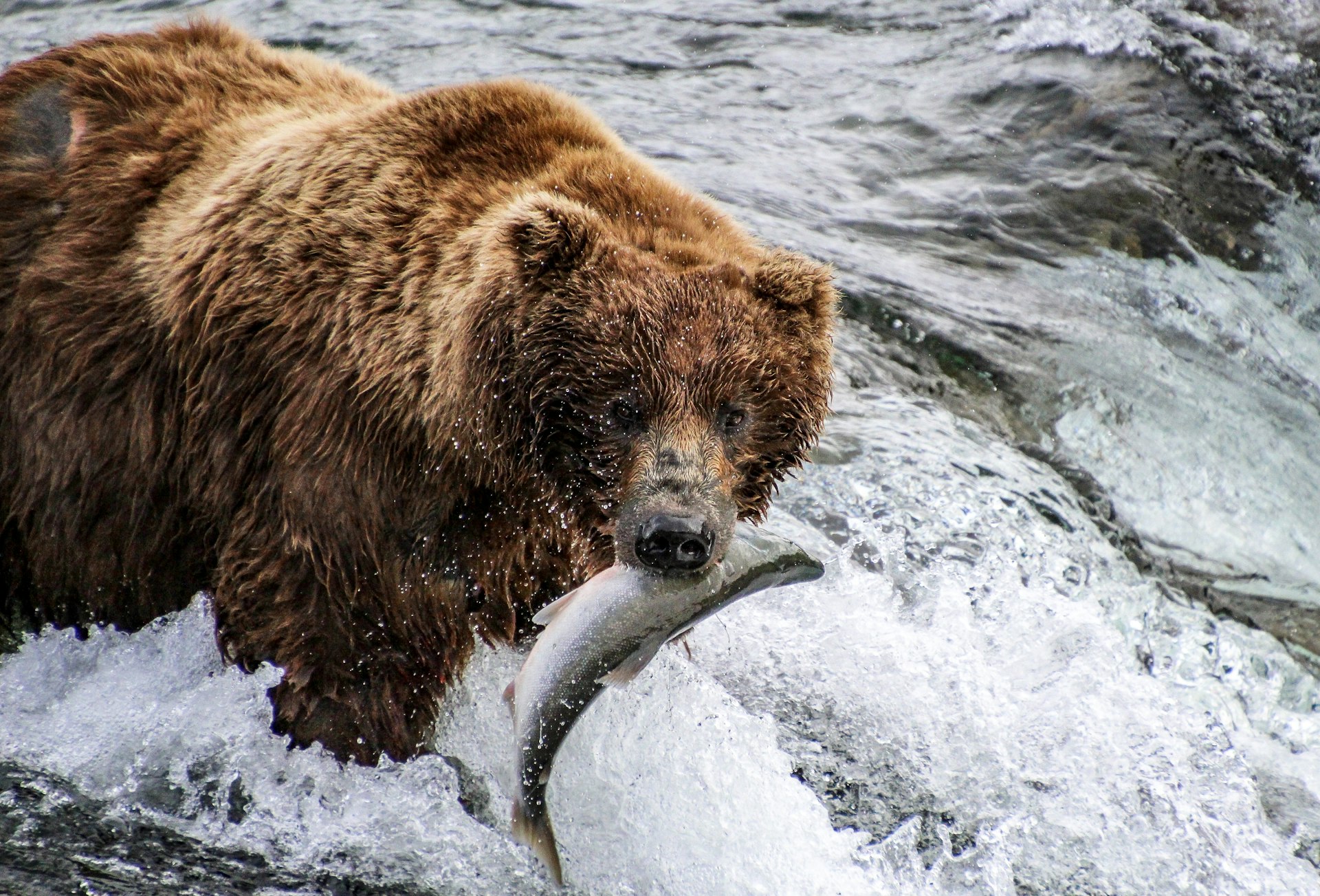 Introducing Alaska’s national parks - Lonely Planet