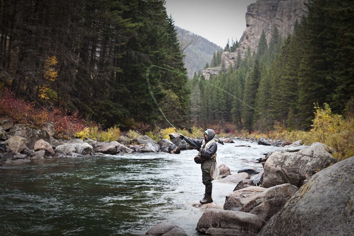Man fly fishing on the banks of river surrounded with the fall colours in Montana.