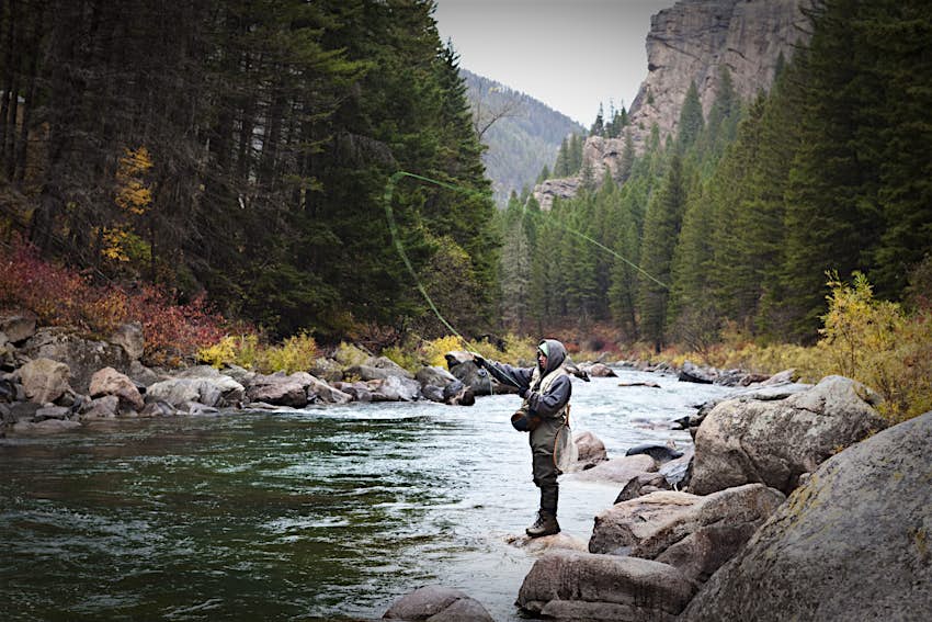 Man fly fishing on the banks of river surrounded by fall colours in Montana