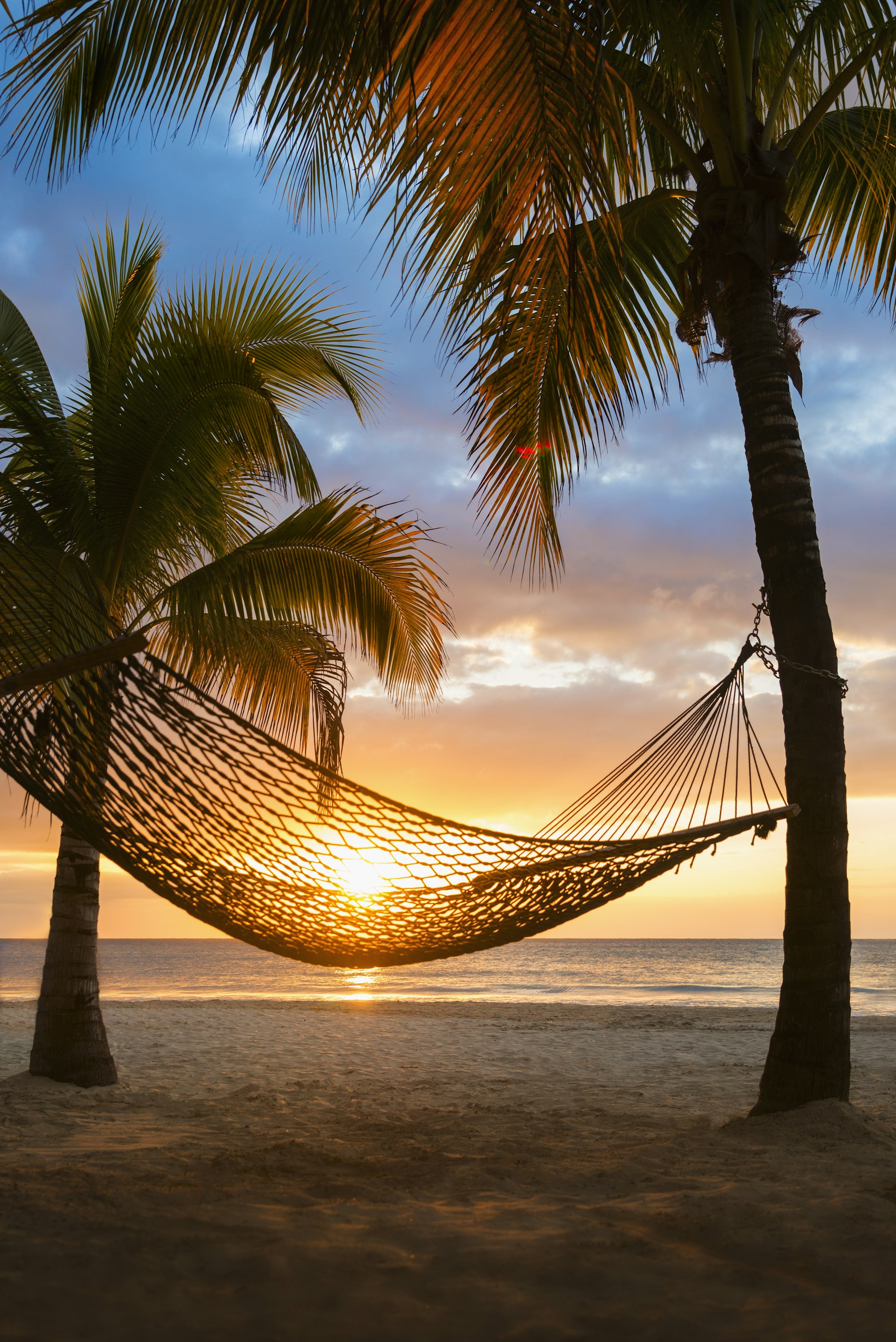 Hammock tied between palm trees on the beach during sunset