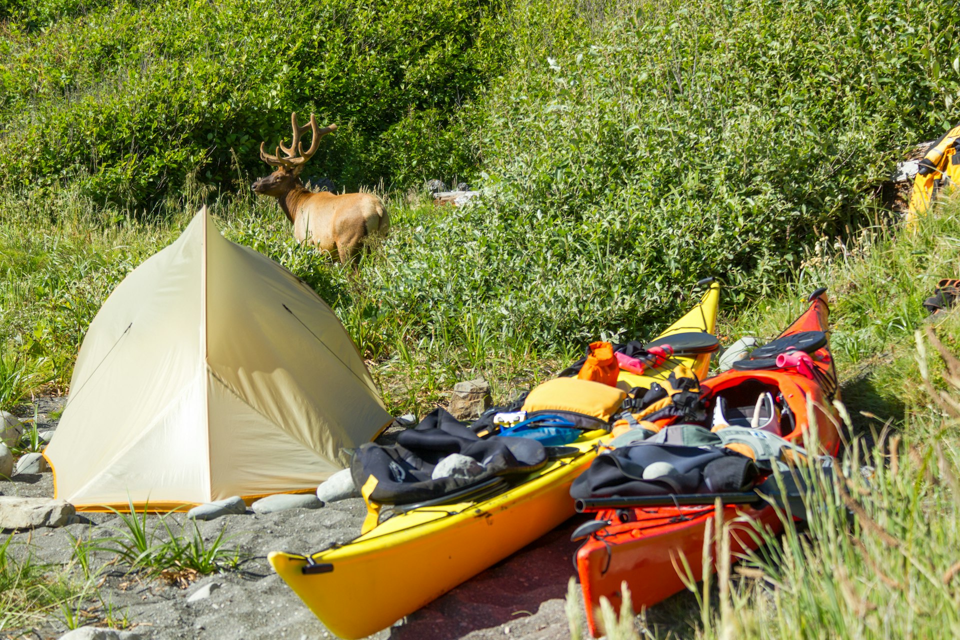 Wild camping – your ultimate guide to planning a trip - Lonely Planet