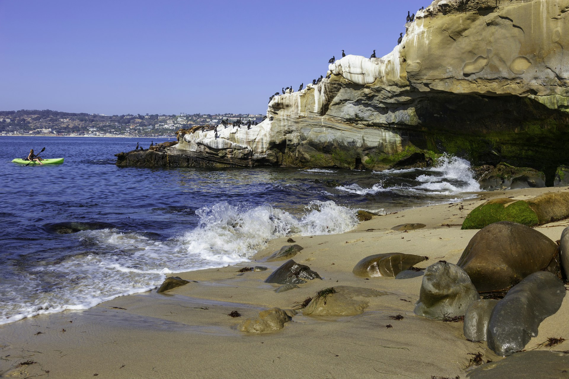 A kayaker near a rocky bay. Sea lions and birds sit on the rocks.