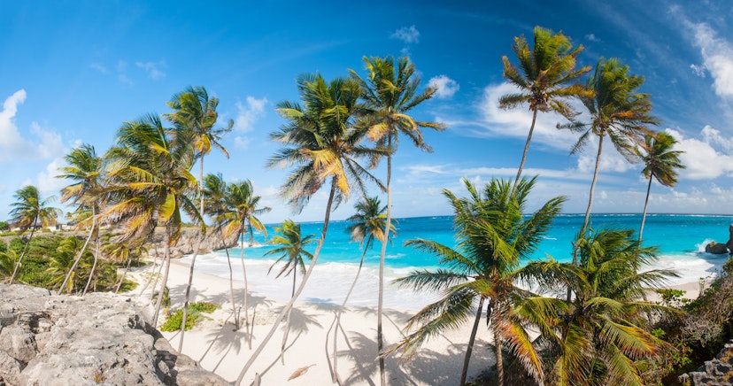 Bottom Bay is one of the most beautiful beaches on the Caribbean island of Barbados. It is a tropical paradise with palms hanging over turquoise sea. Wide panoramic photo