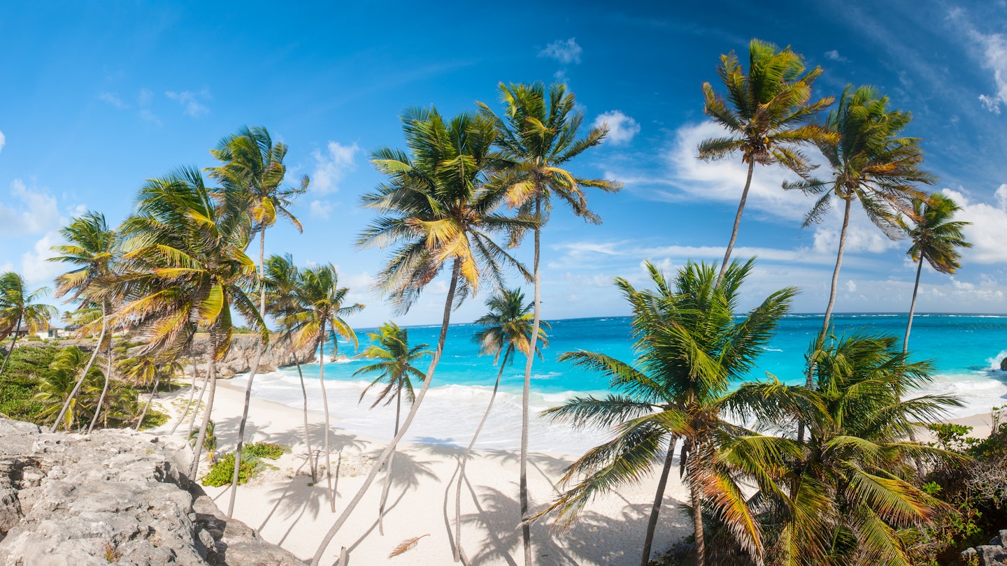 Bottom Bay is one of the most beautiful beaches on the Caribbean island of Barbados. It is a tropical paradise with palms hanging over turquoise sea. Wide panoramic photo