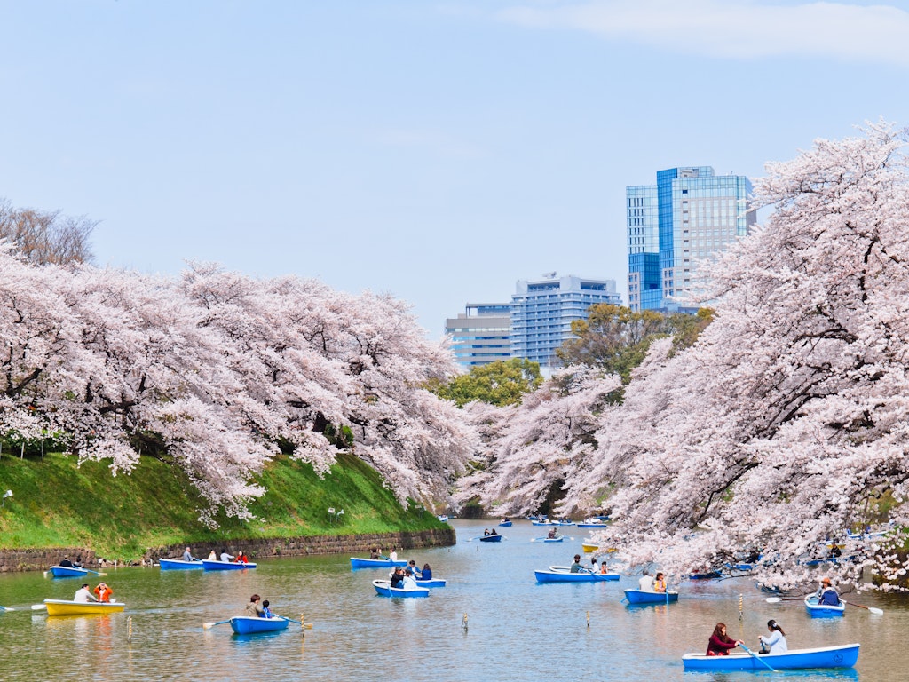 Best Time To Visit Tokyo - Lonely Planet