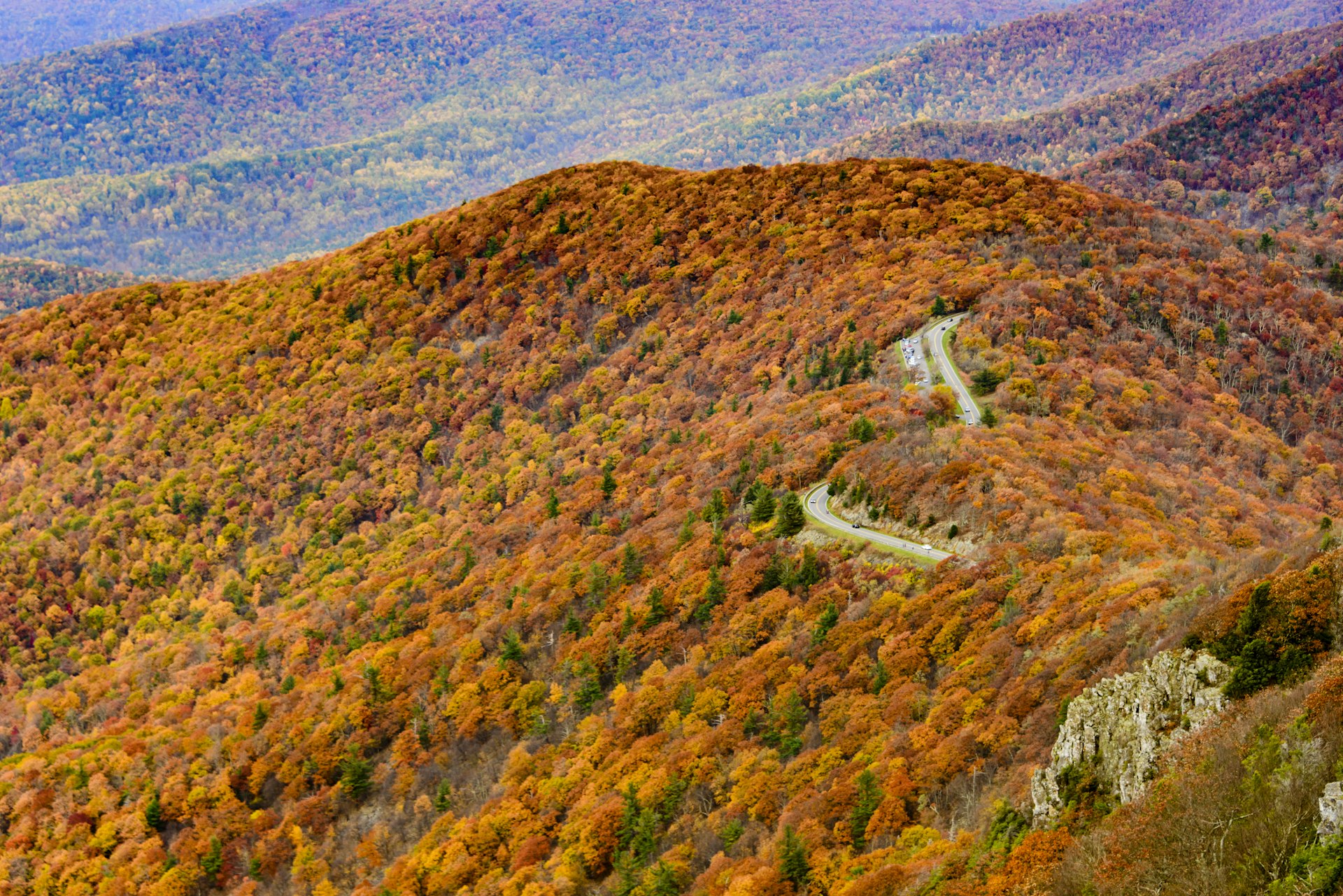 Skyline drive through the colorful autumn forest of Shenandoah National Park, Virginia