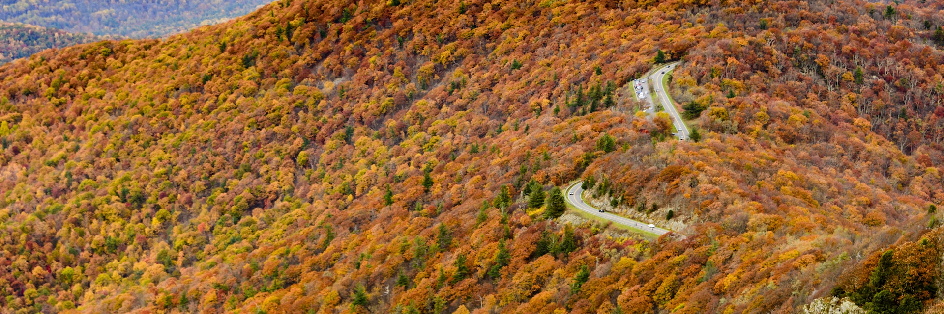 Skyline drive through the colorful autumn forest of Shenandoah National Park, Virginia