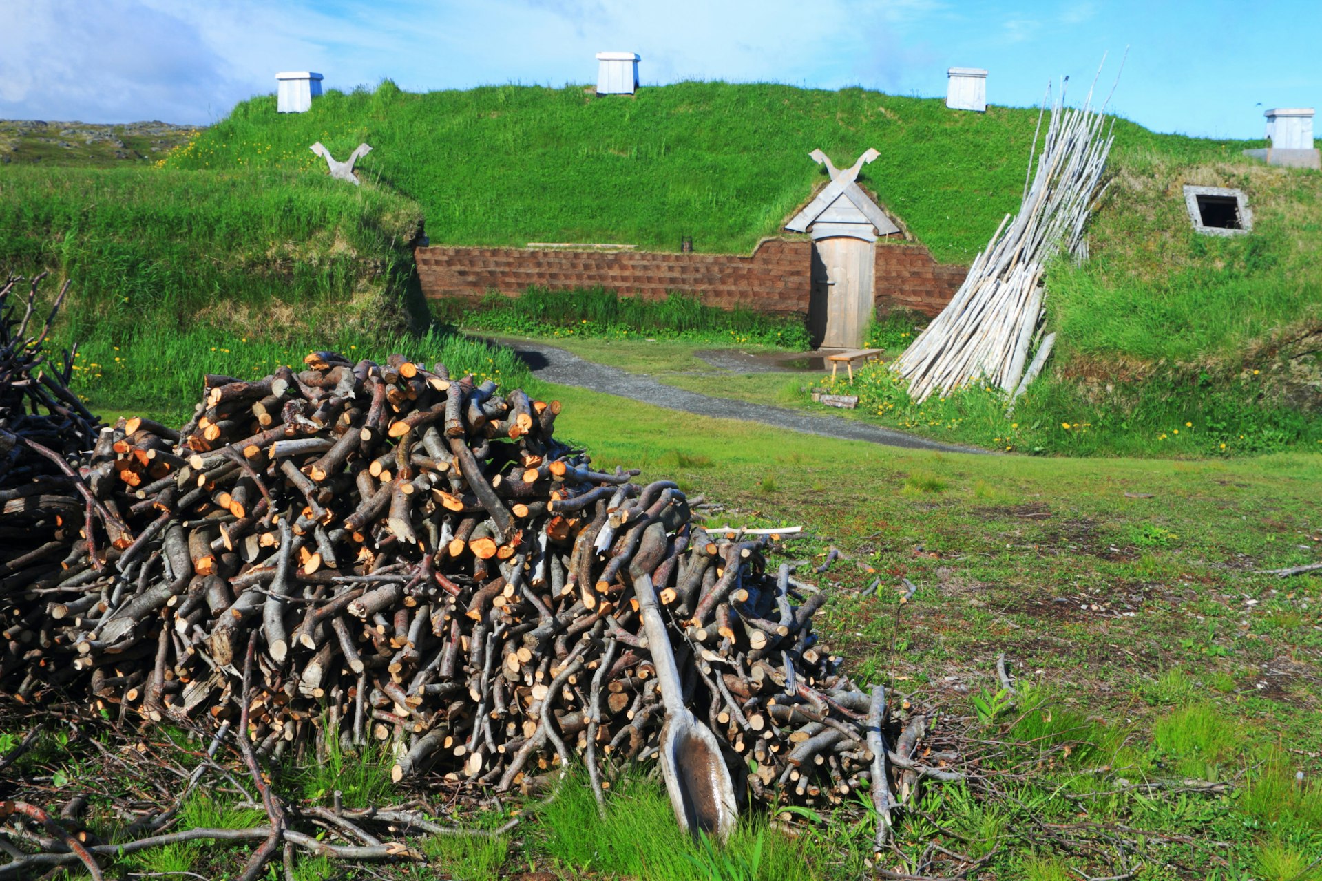 Ancient homes of Viking settlers on a green landscape