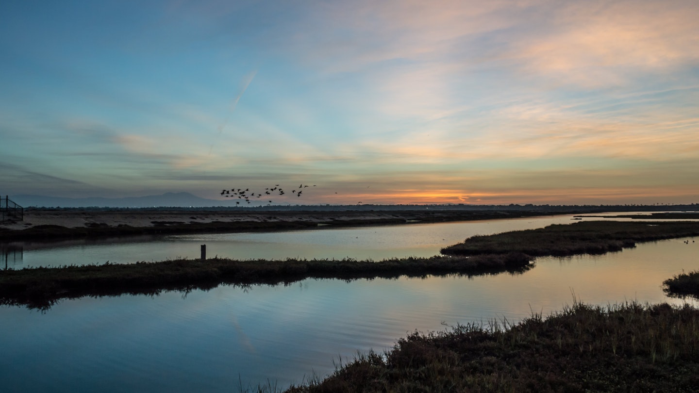 A flock of birds fly by as sunrise comes to life over the wetlands.