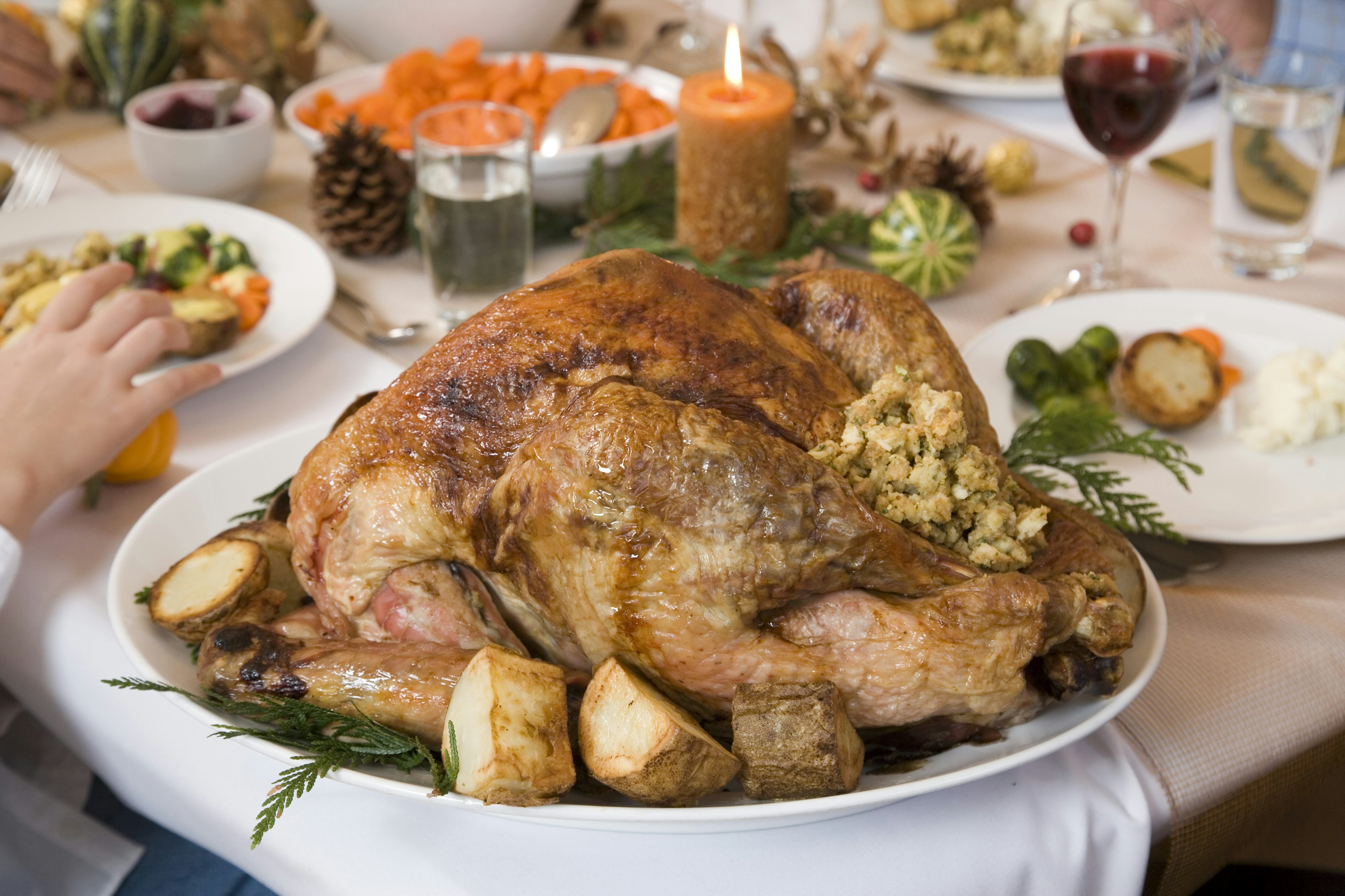 Close-up of Christmas turkey