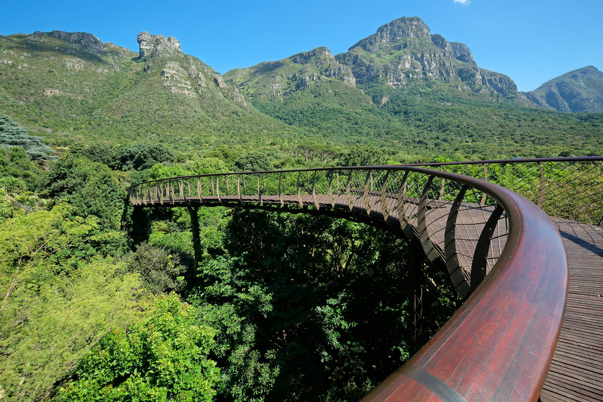 Elevated walkway in the Kirstenbosch botanical gardens, Cape Town, South Africa 