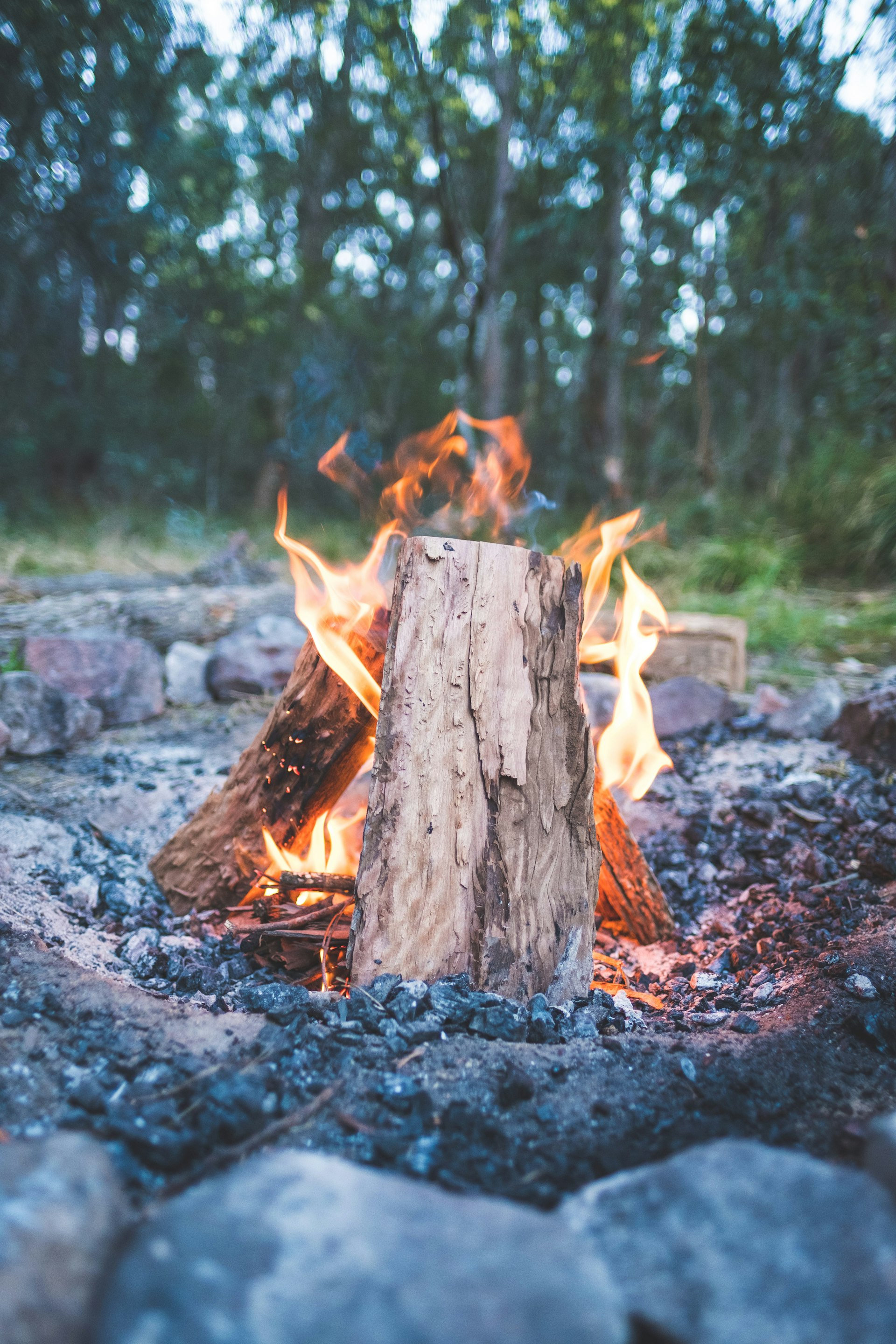A campfire in the bush, made with large logs in a triangular shape with a stone circle around it