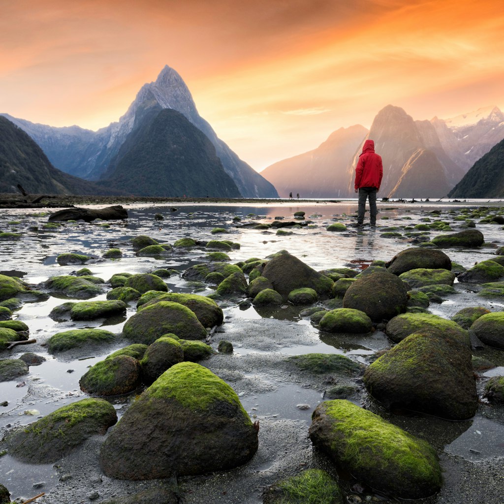 Milford Sound/Piopiotahi is a fiord in the south west of New Zealand's South Island
