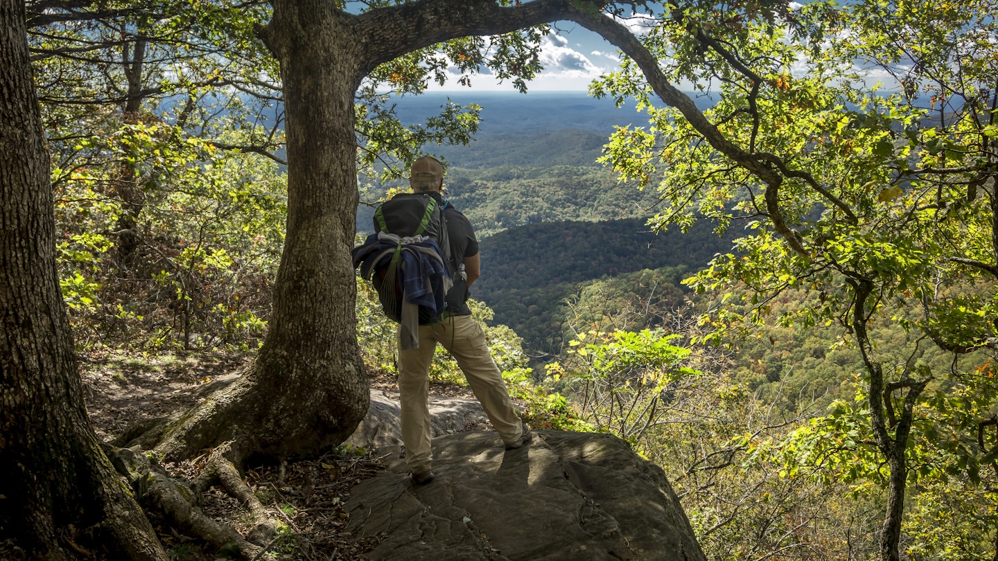 A hiker pauses at a lookout point over a tree-covered valley on the Appalachian Trail in Georgia.