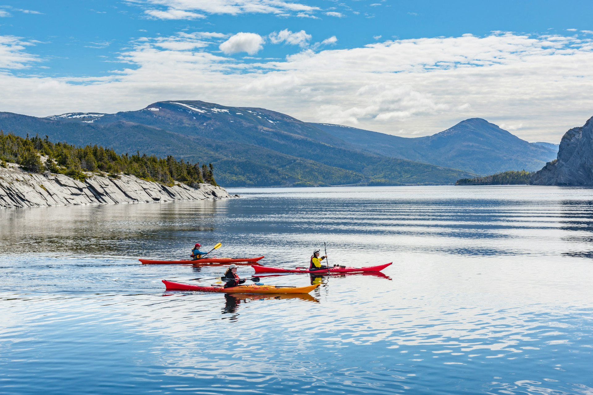 Kayakers paddle on a lake in front of a forest. 