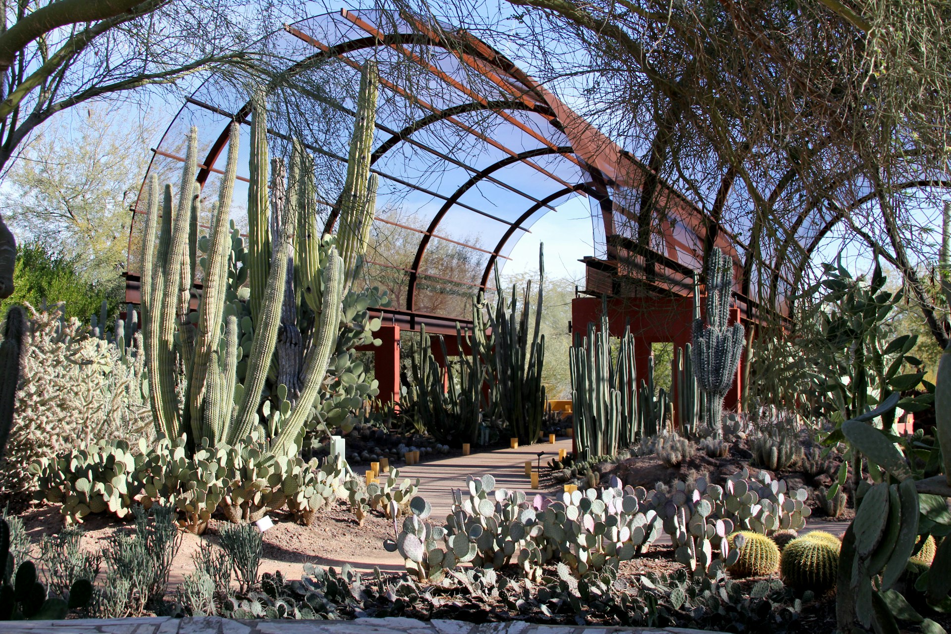 Desert Botanical Garden portal entrance, Phoenix, Arizona with varied cacti and desert plants.