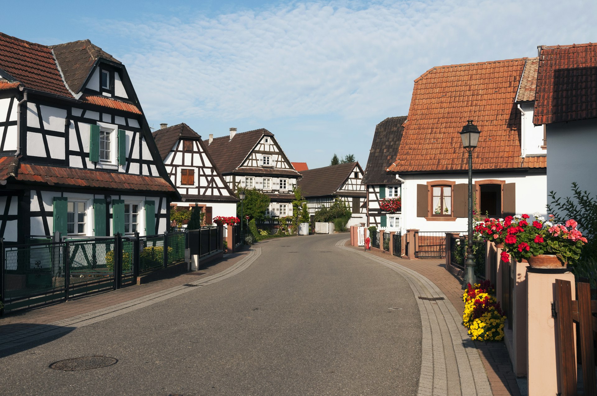 Street lined with half-timbered houses